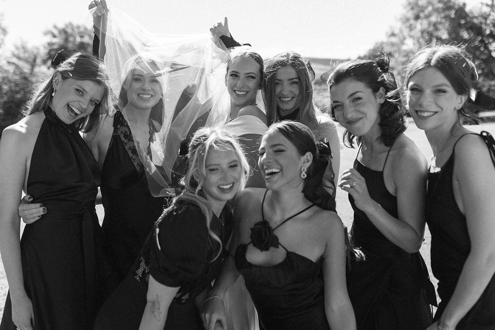 The Stars Inside Intimate Weddings and Elopements