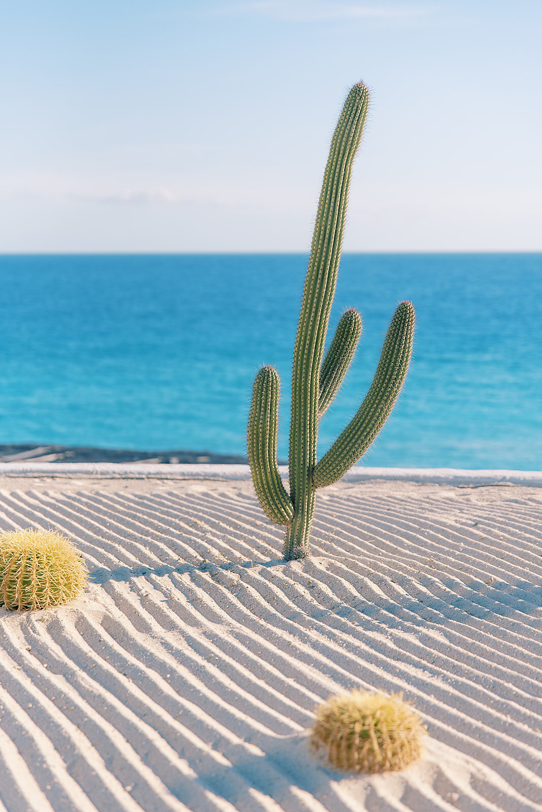 las ventanas al paraiso_Cabo Wedding Photographer 160