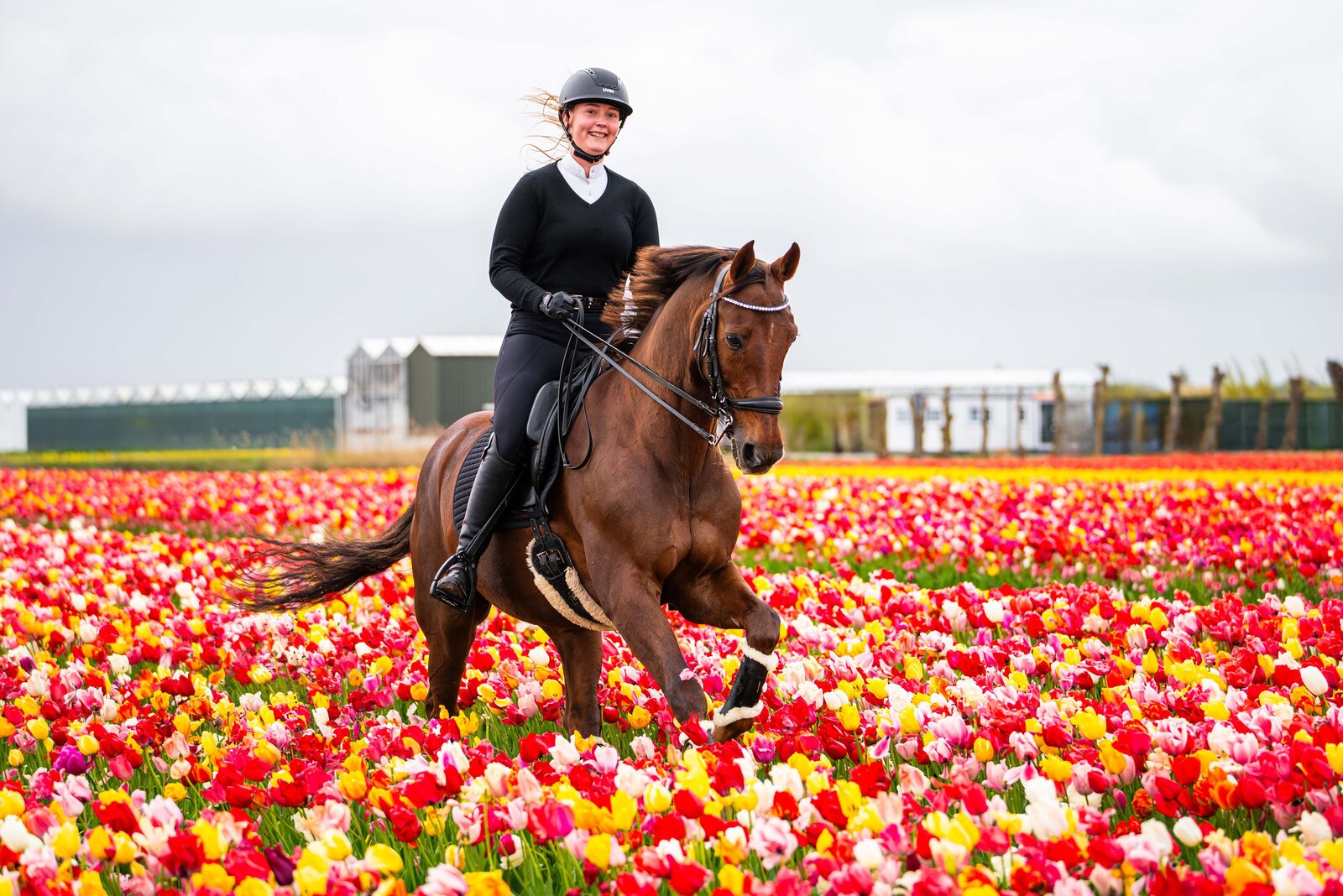 Tulpenfoto gemaakt door Cheyenne Vlottes (1)