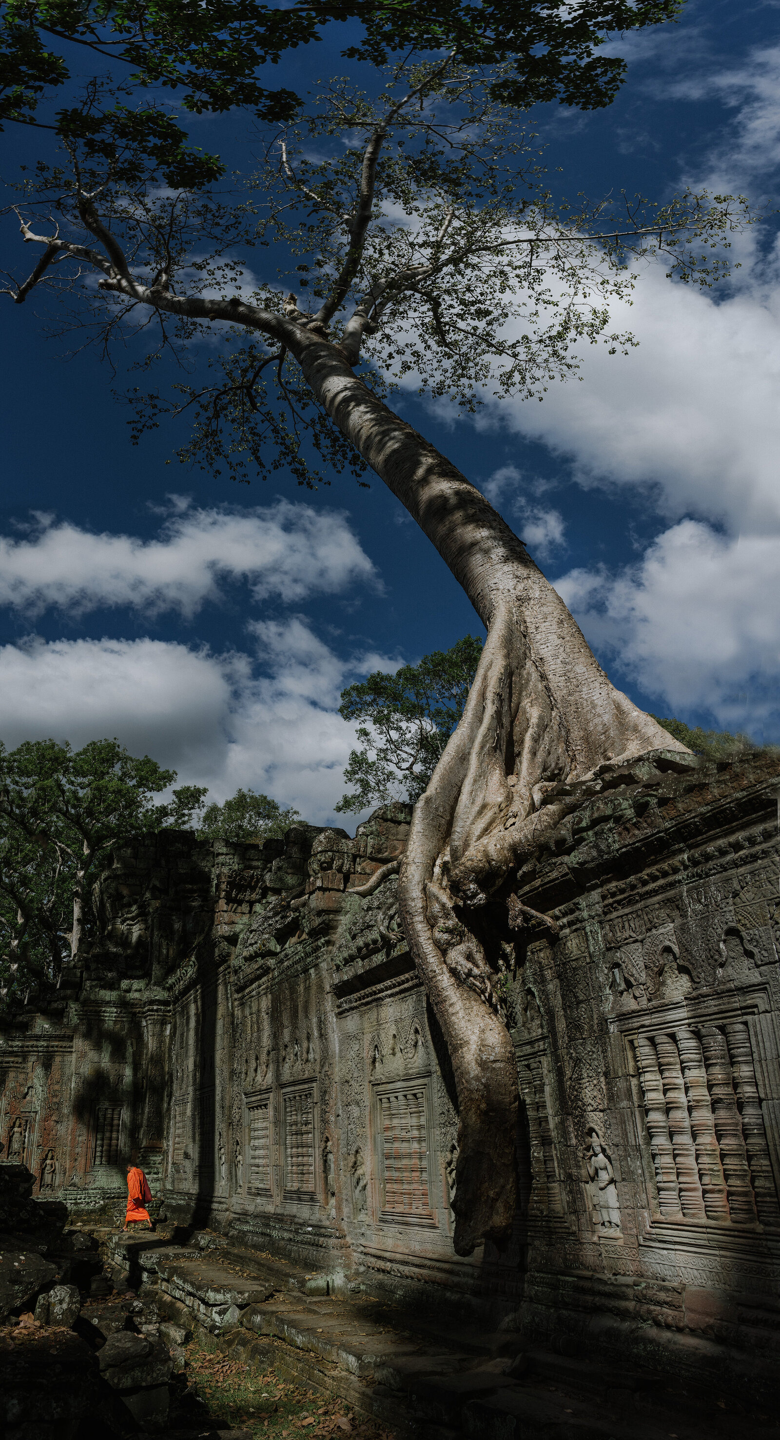 cambodia