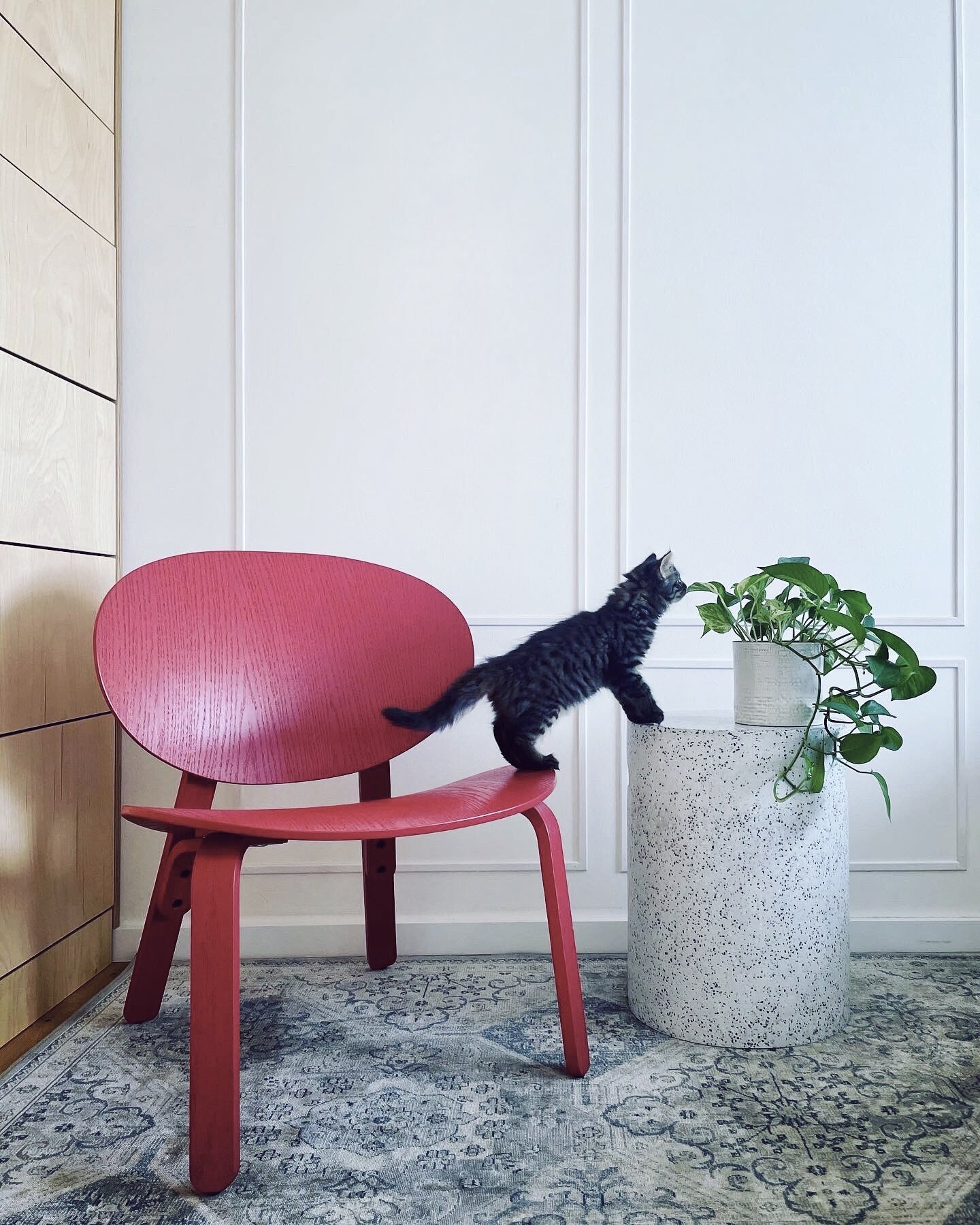 E53C8DF7-7764-42E6-96F7-4EC53A8EF21B