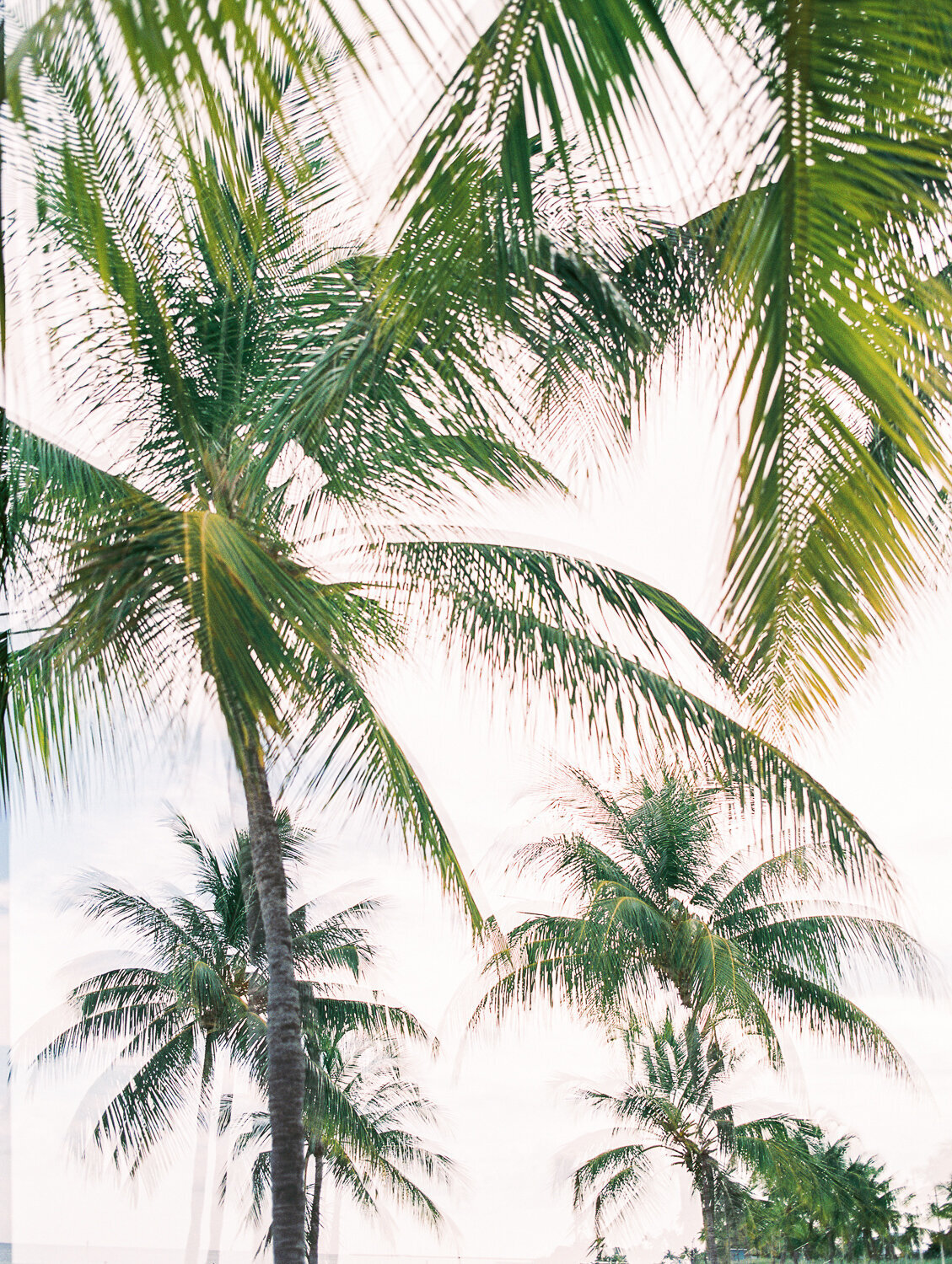 KEY WEST | PRINT SHOP | LB Photography | KEY WEST 2020 | September | 2020 | Sequence # (1)September 11, 2020-7