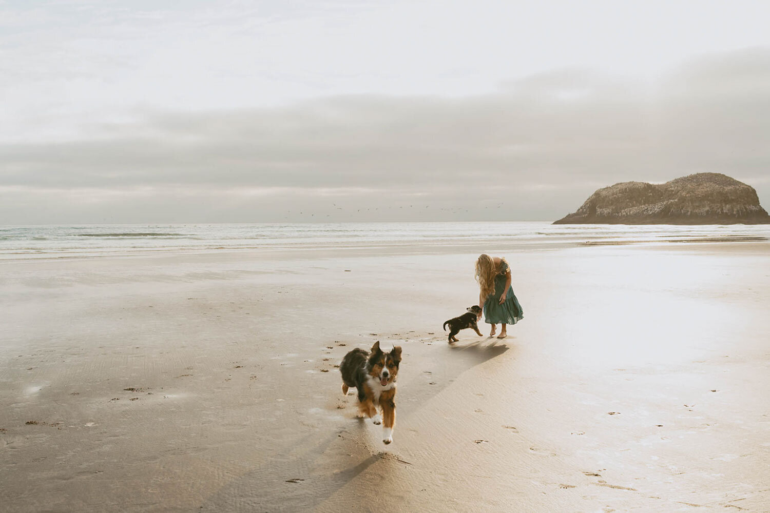 Brooklyn-Chapman-Beach-photos-by-Emily-Noelle-Photo-24