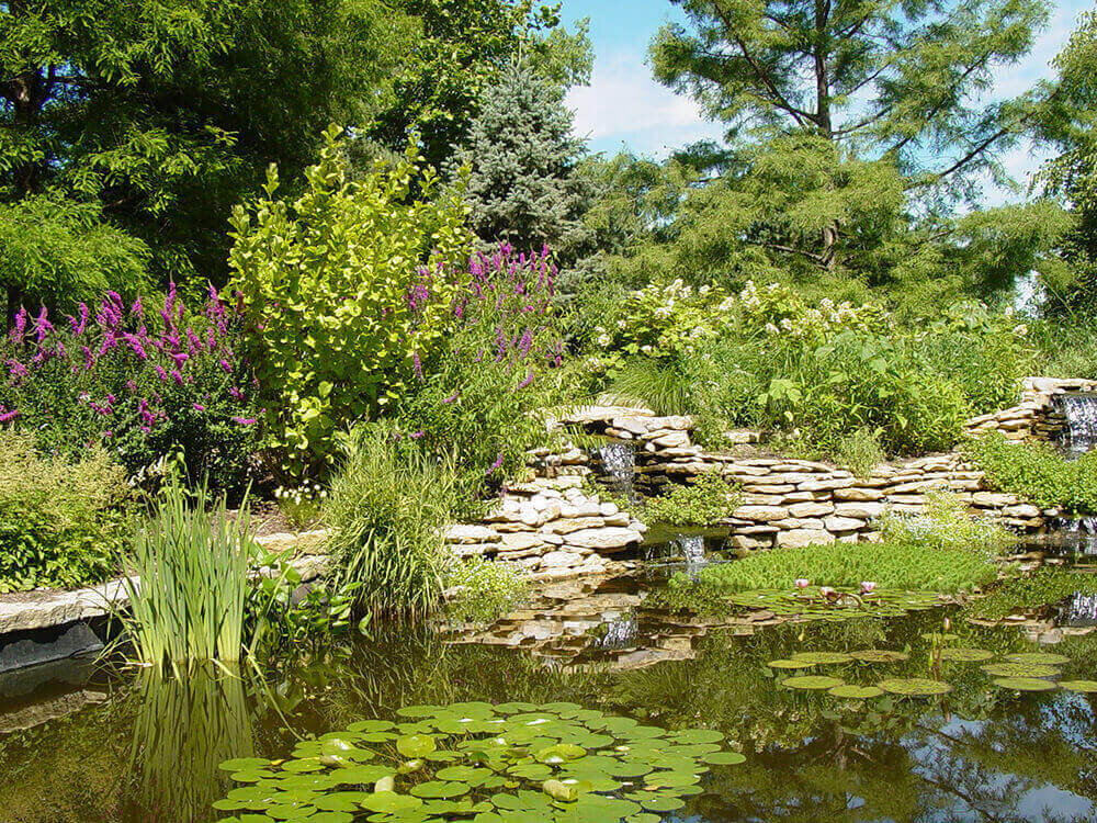 Landscape company project