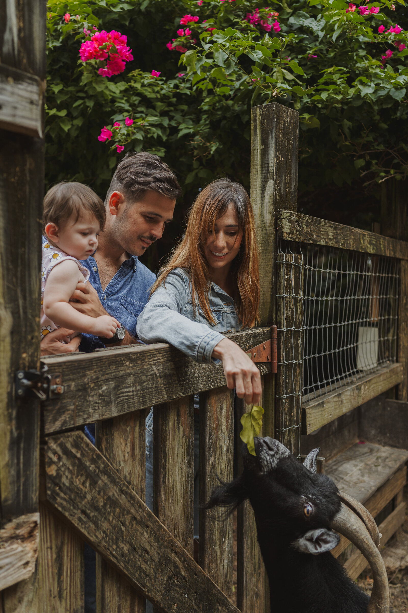 Sasha Fernandez Family-13