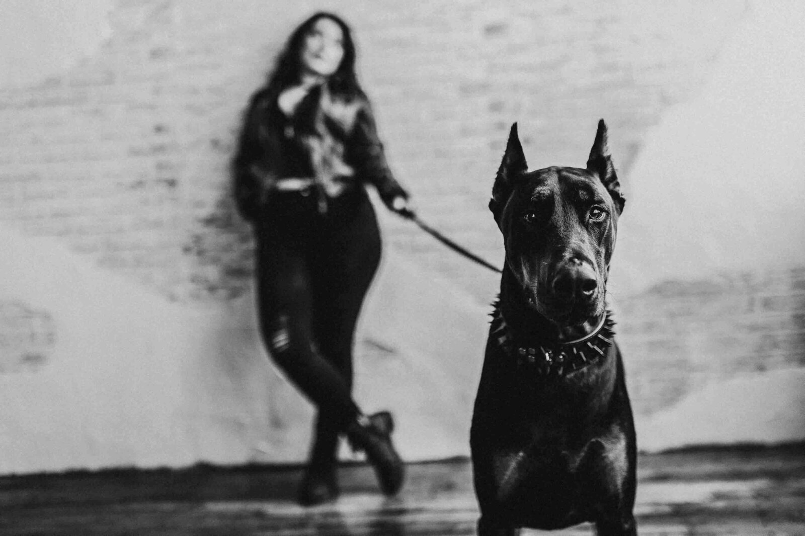 woman holding her leashed dog