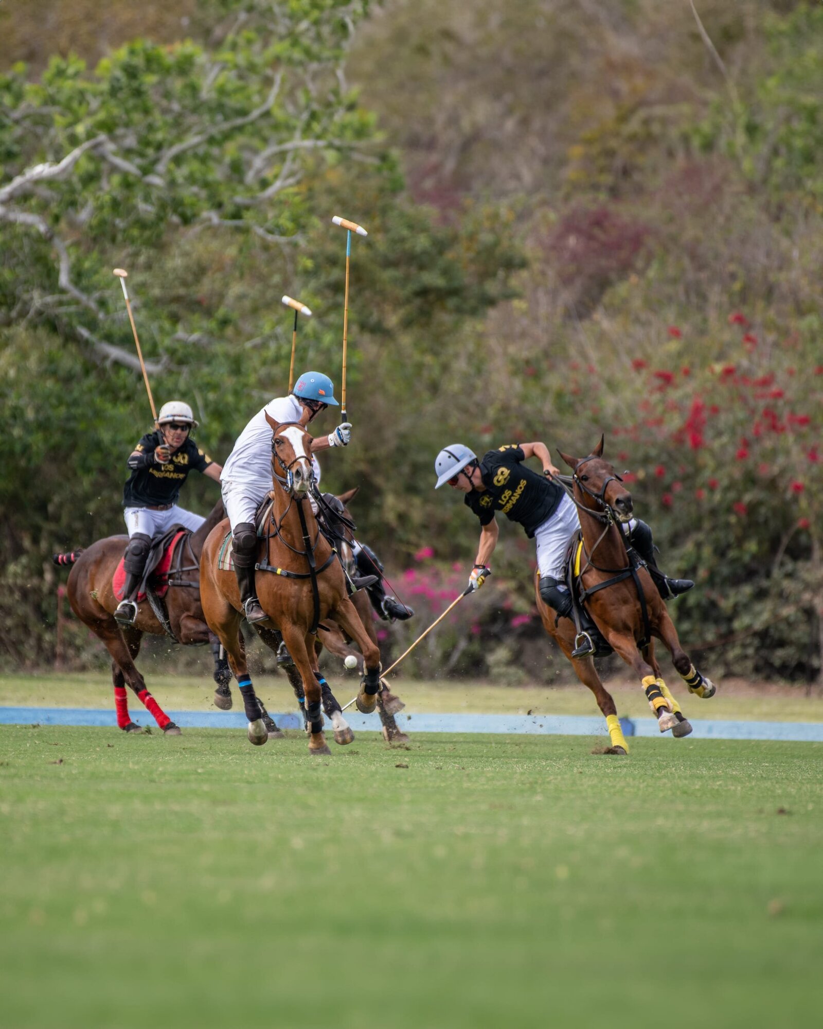 Polo-Club-Careyes-17-08-52-mobile