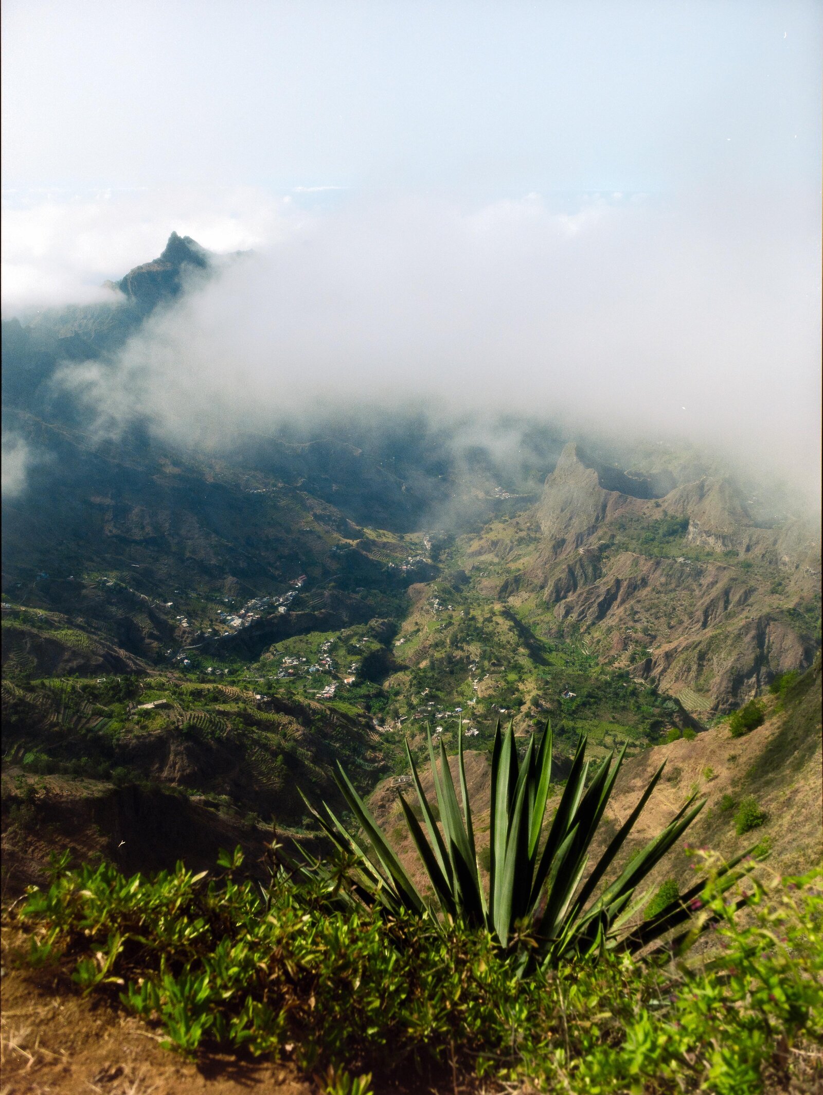 7b83790a-14bc-4cd7-beb0-d98e58a1f5f5