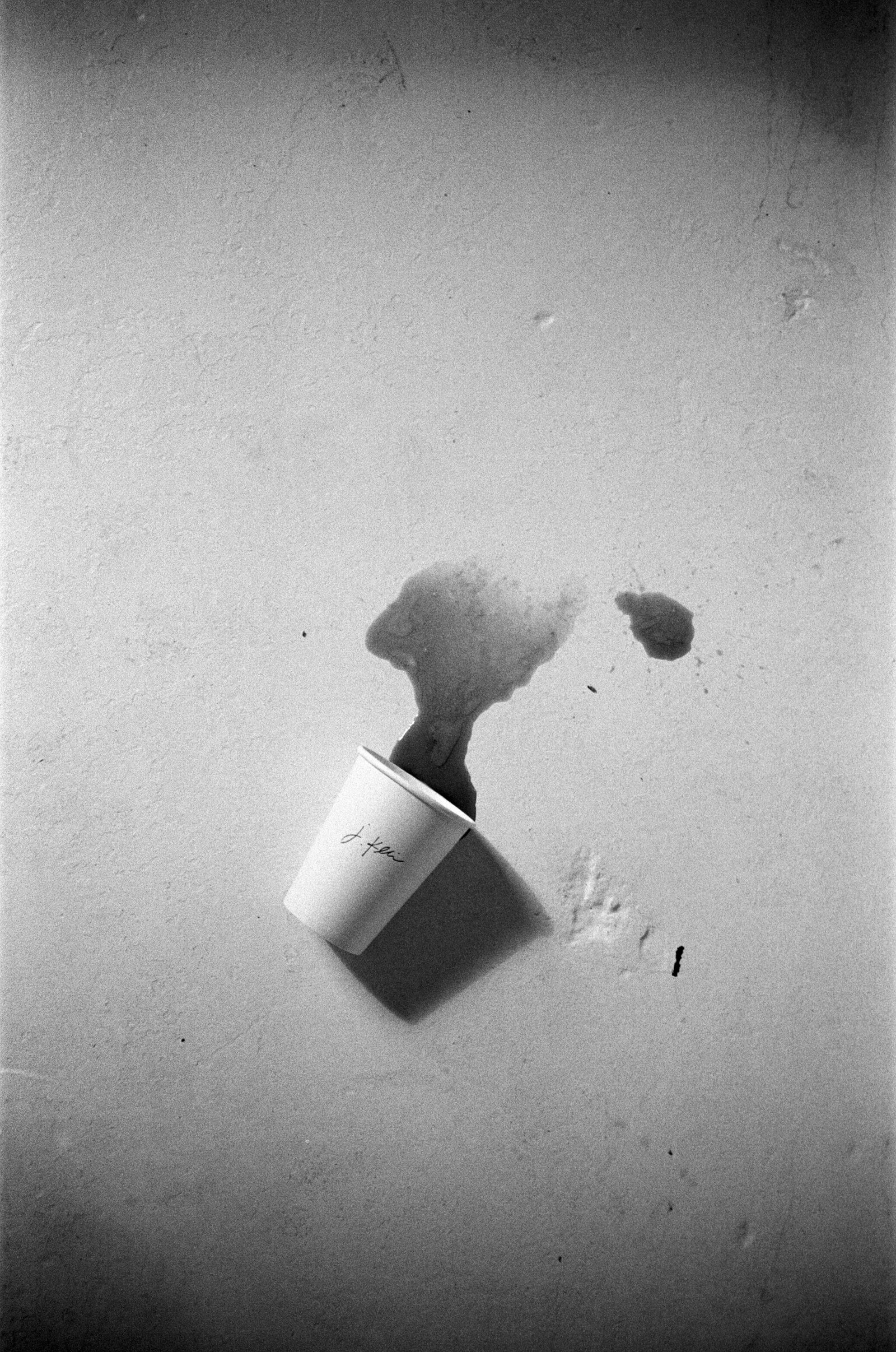 boston_film_photographer_jess_klein_studio-12