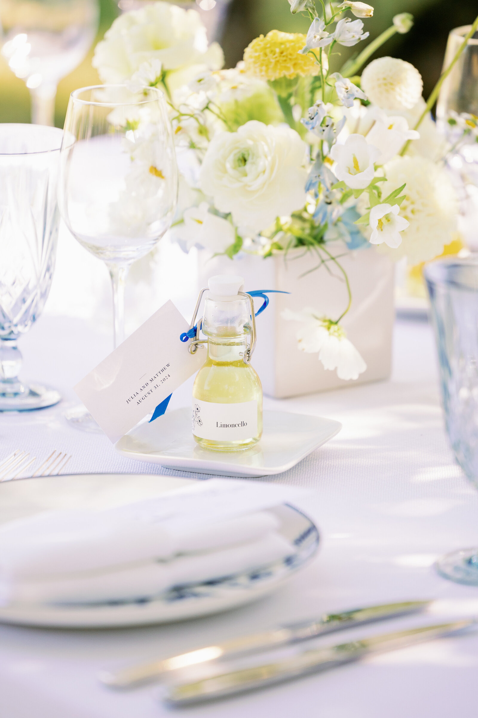 Julia-Matt-Wedding-Highlights-Cameron-Zegers-Photography-134