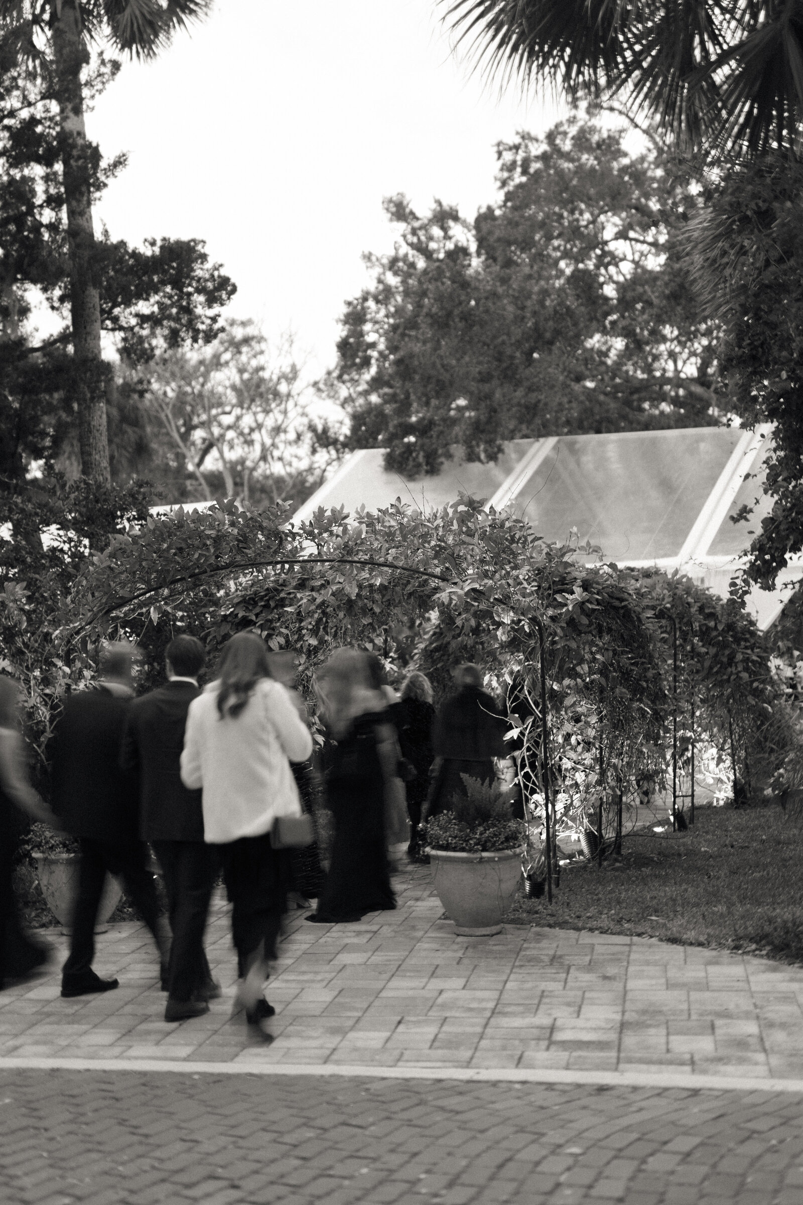 Nicole and Steve - Matlock and Kelly Photography-49