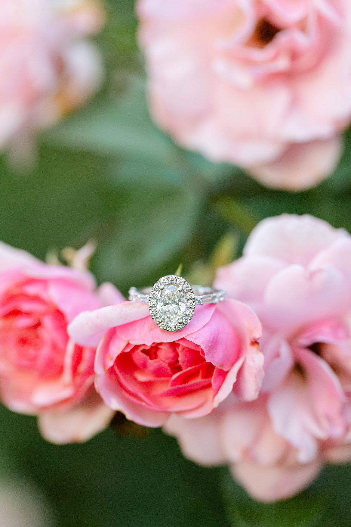 Arianne+Ryon_E-Session-119