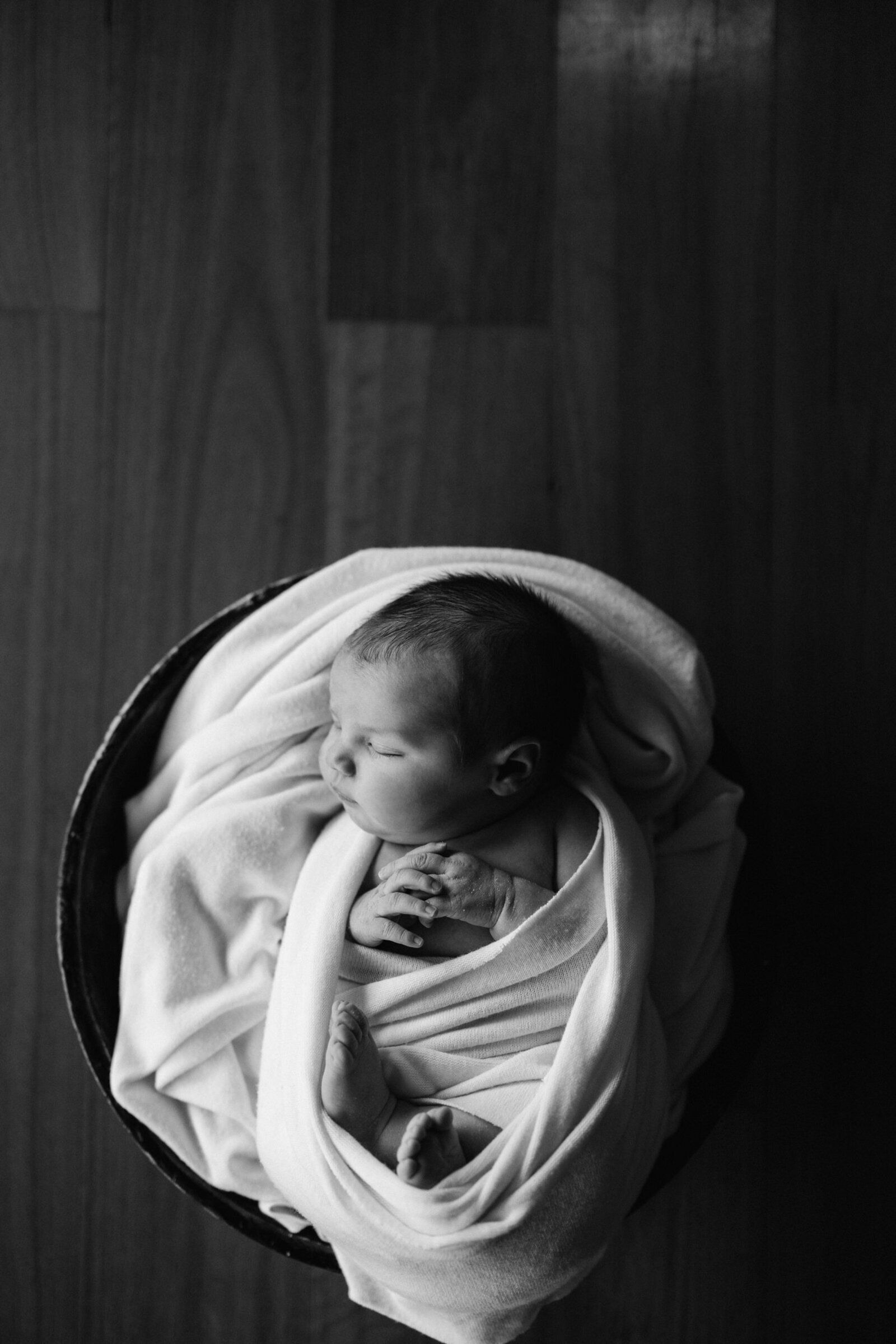 Harper newborn, Felicity Seaman, July 2024-53