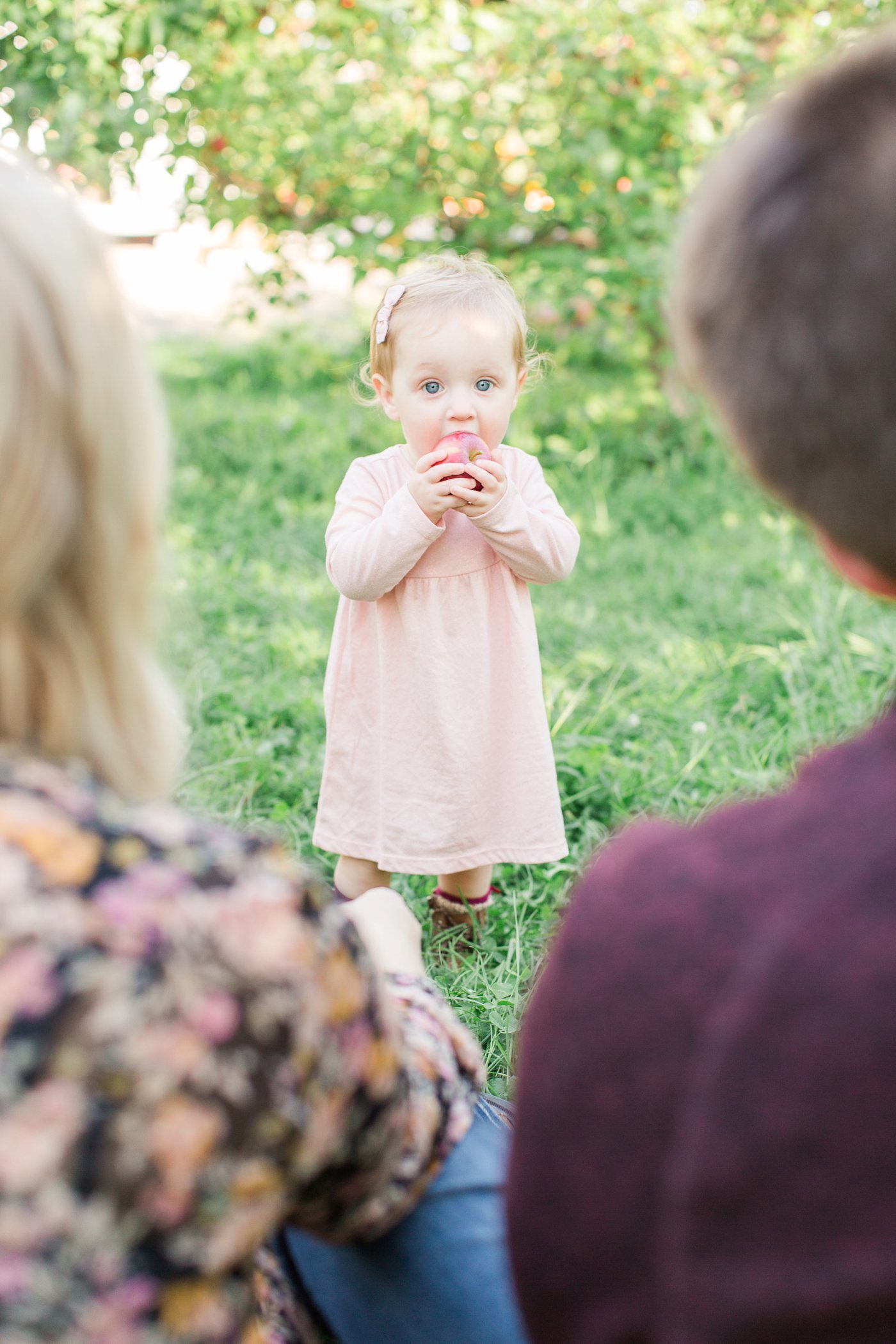 fall-the-apple-farm-victor-new-york-family-portrait-17