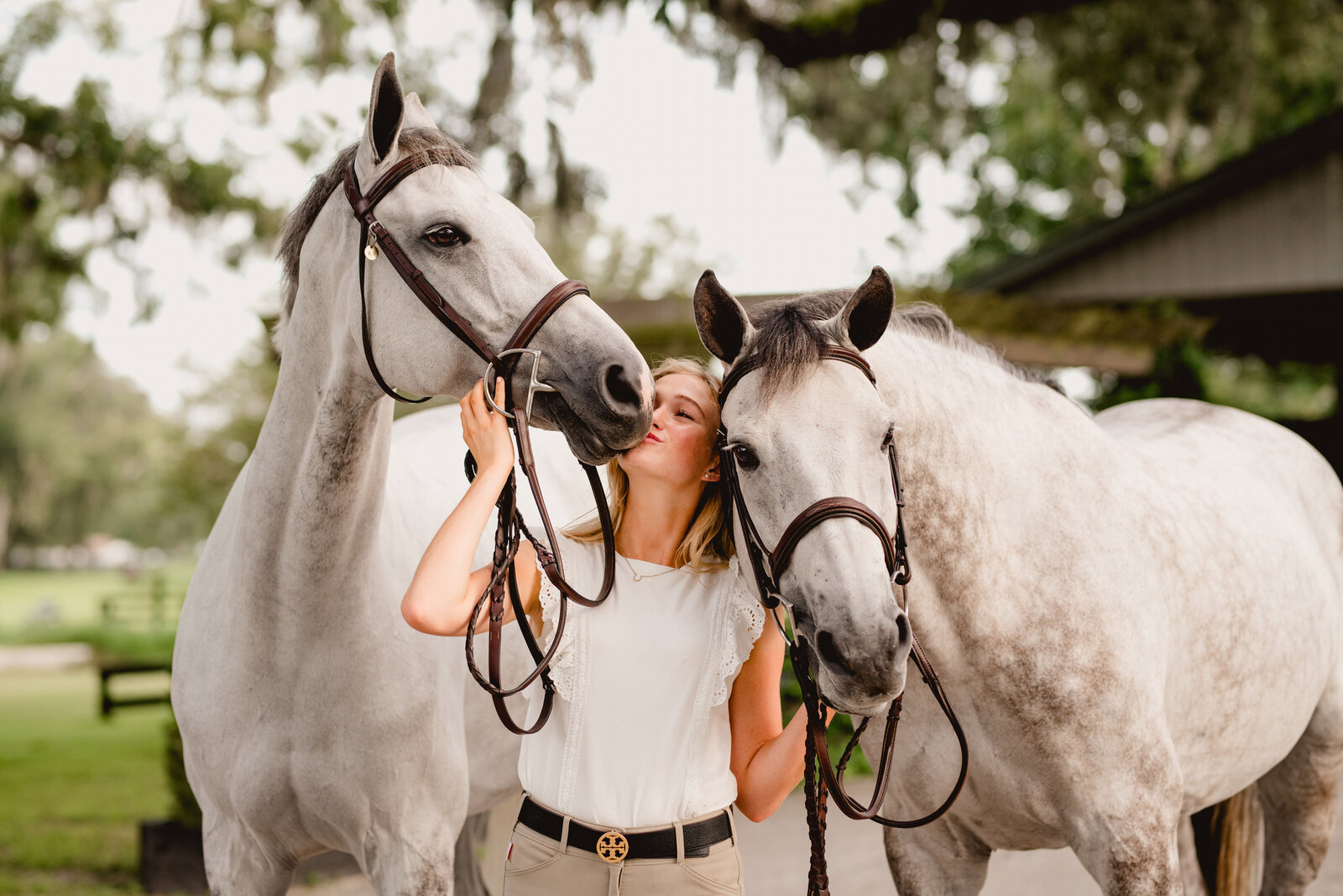 Cute photo of girl kissing two grey horses in Ocala, Fl at Terrapin Hill Farms.