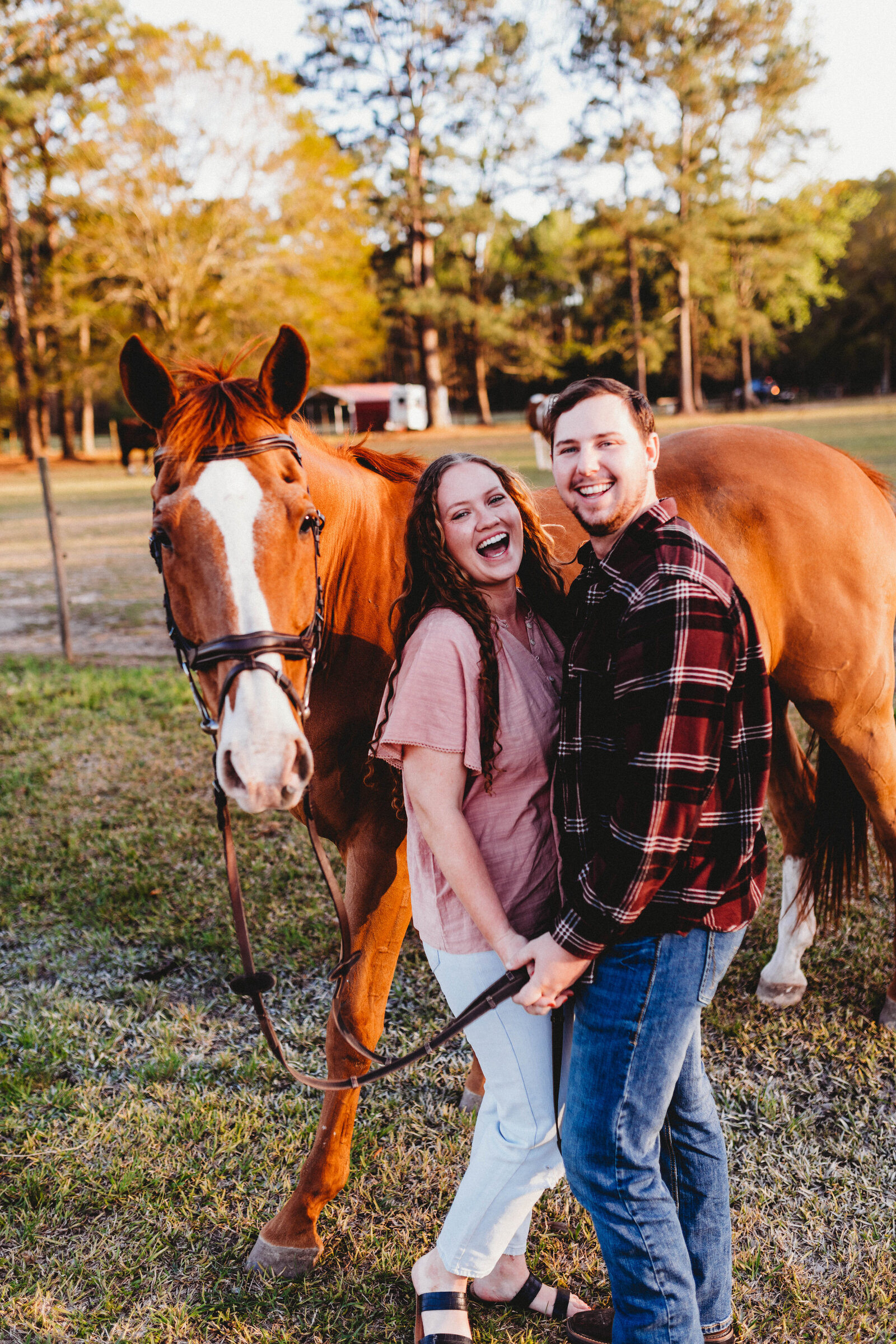 couples photographer in North Carolina, equestrian horse and rider photography, couple in love with a chestnut horse, sunset, gorgeous tones