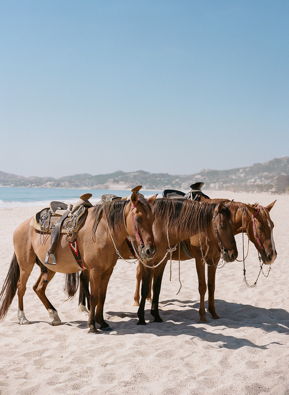 luxury-cabo-destination-wedding-weekend161