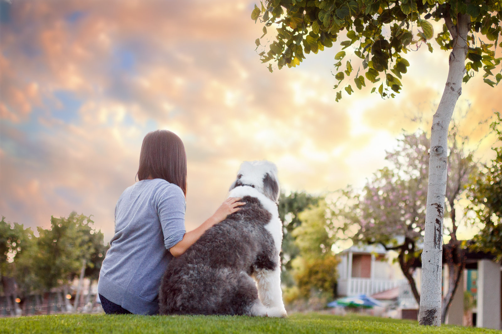 Phoenix AZ Pet Photography_10