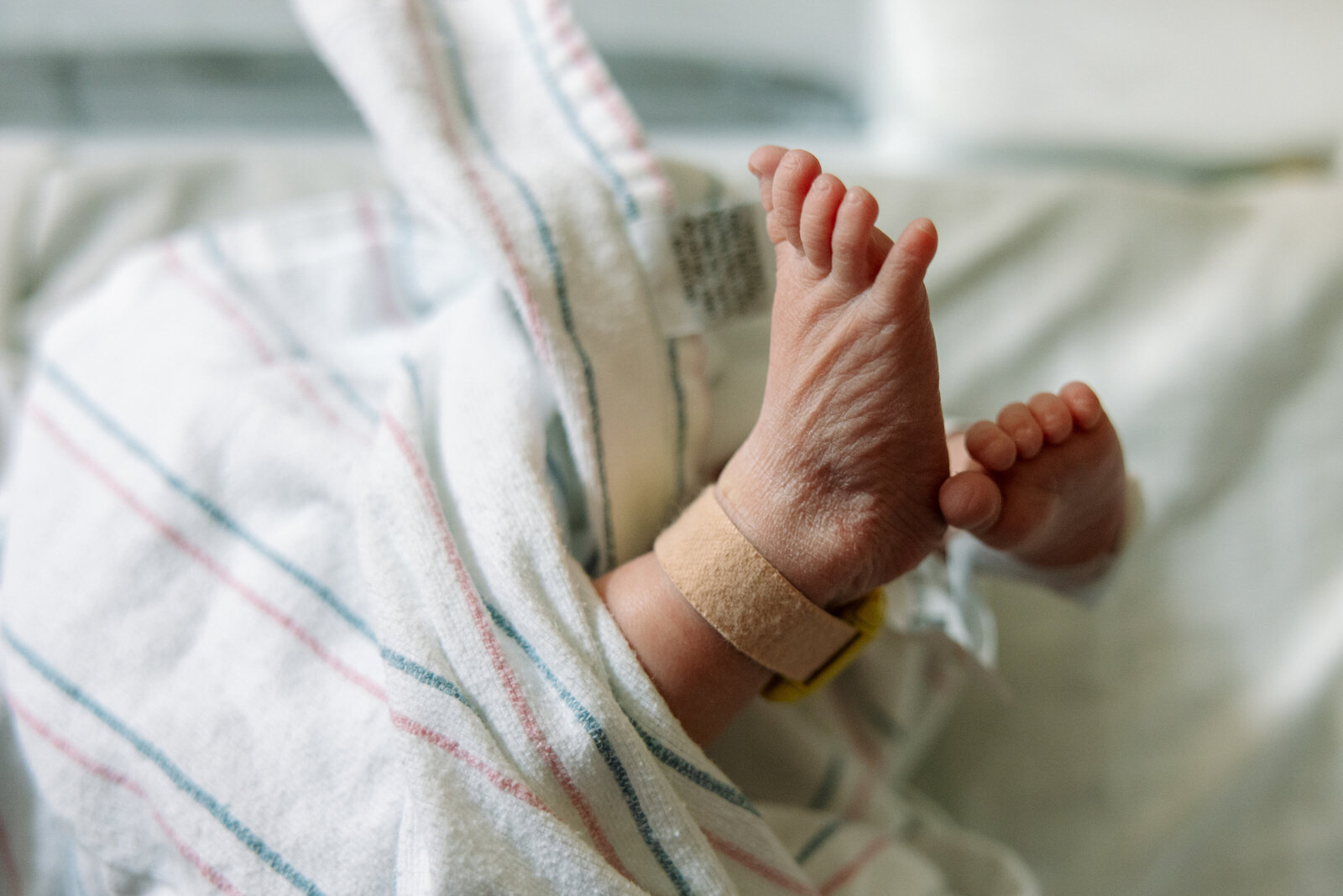 hospital newborn photos bay area