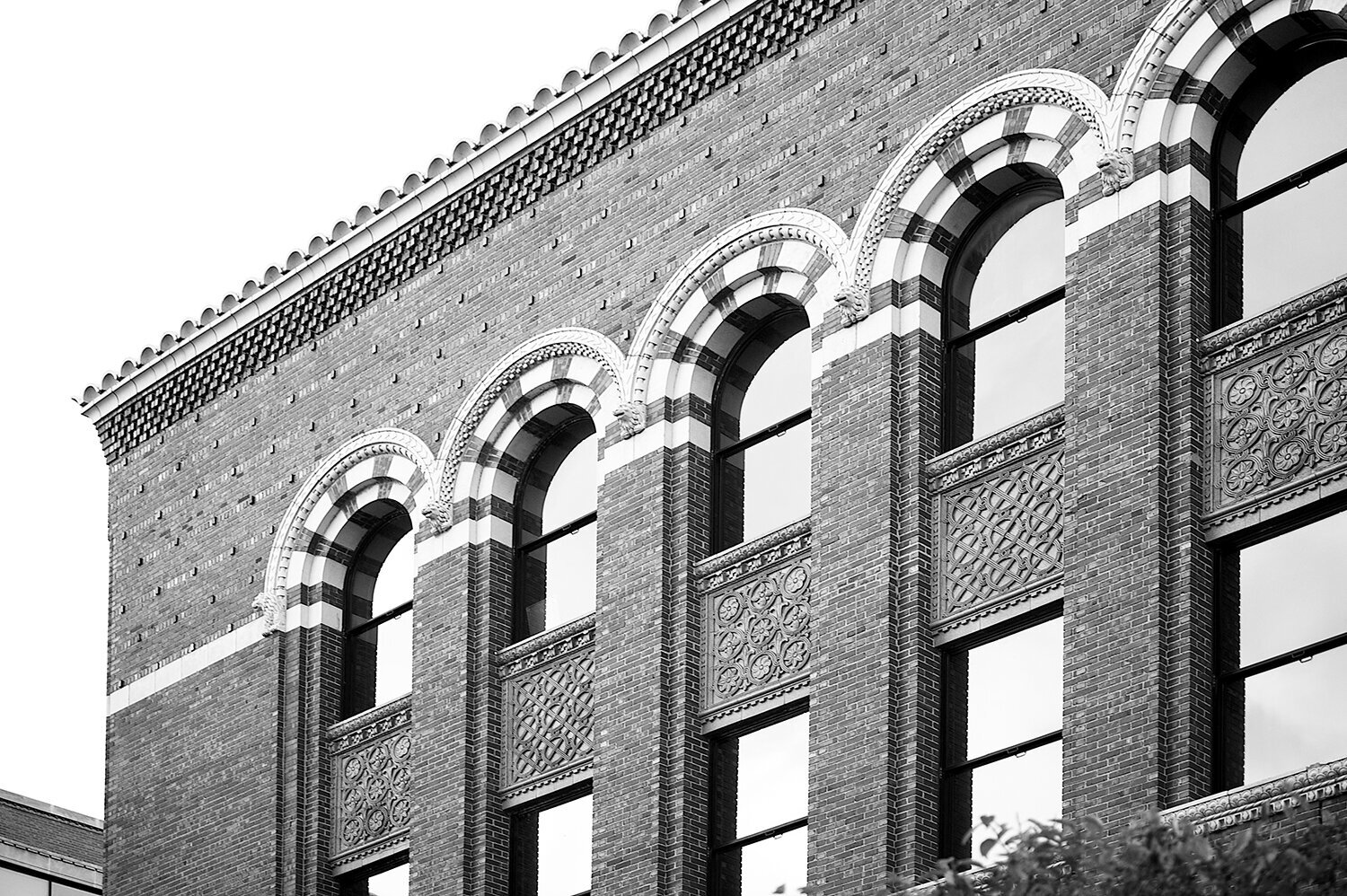 sharp-oldaugh108bw