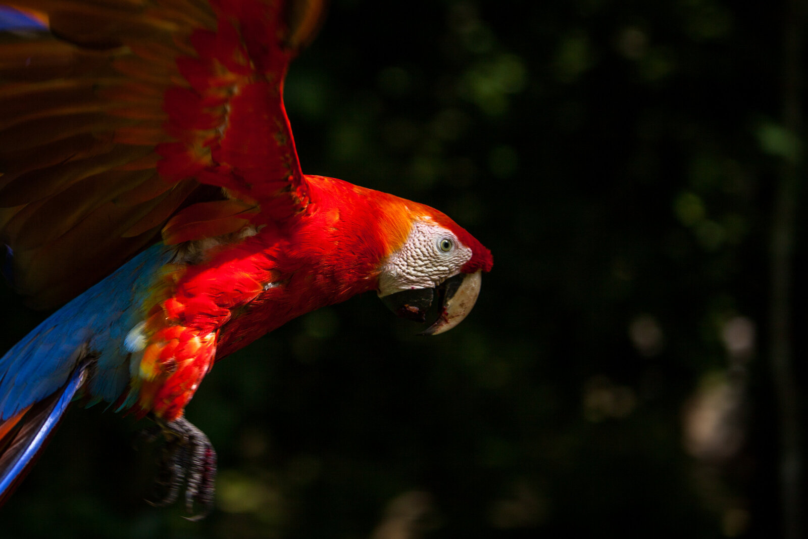 Copan, Honduras