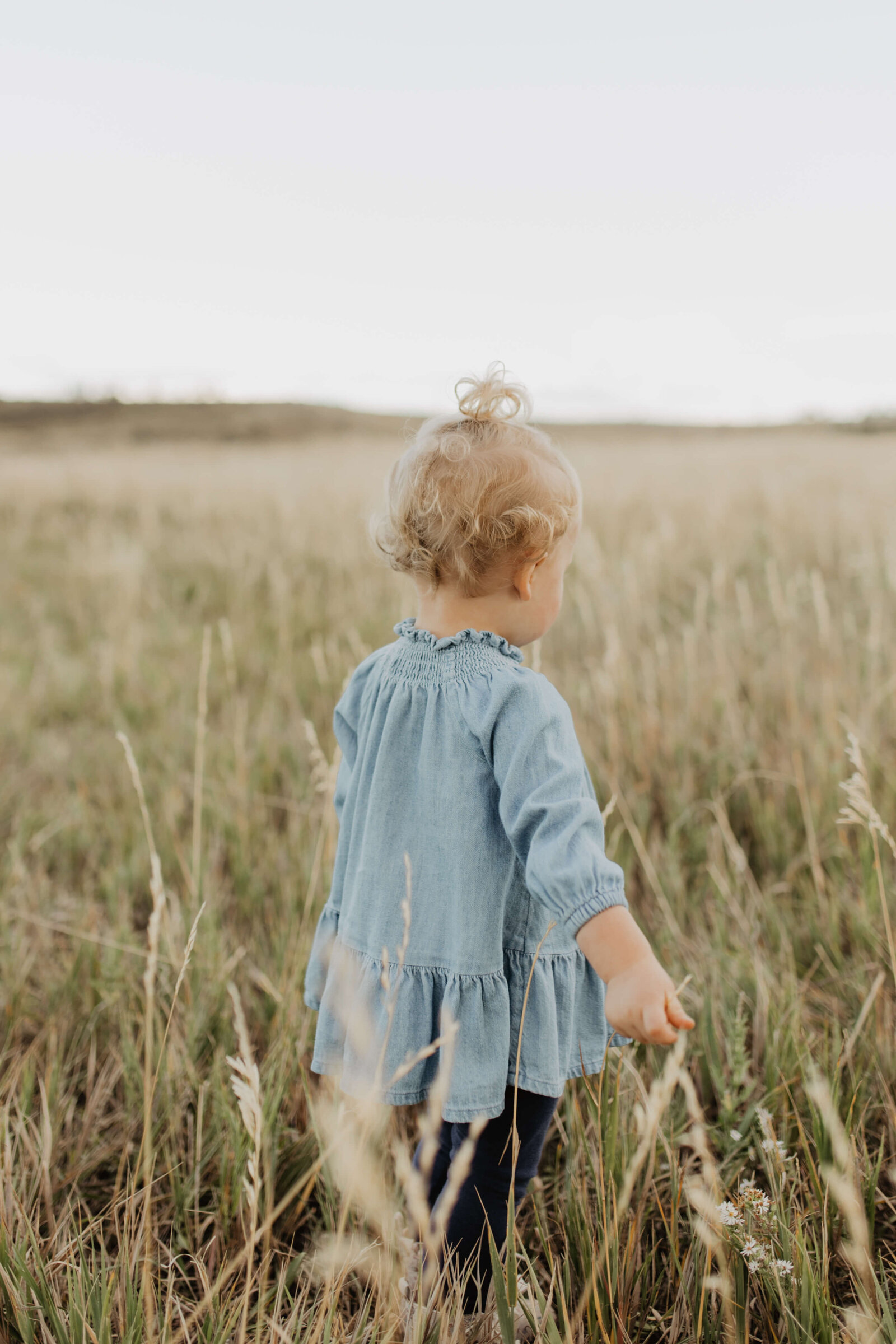 colorado family photo session