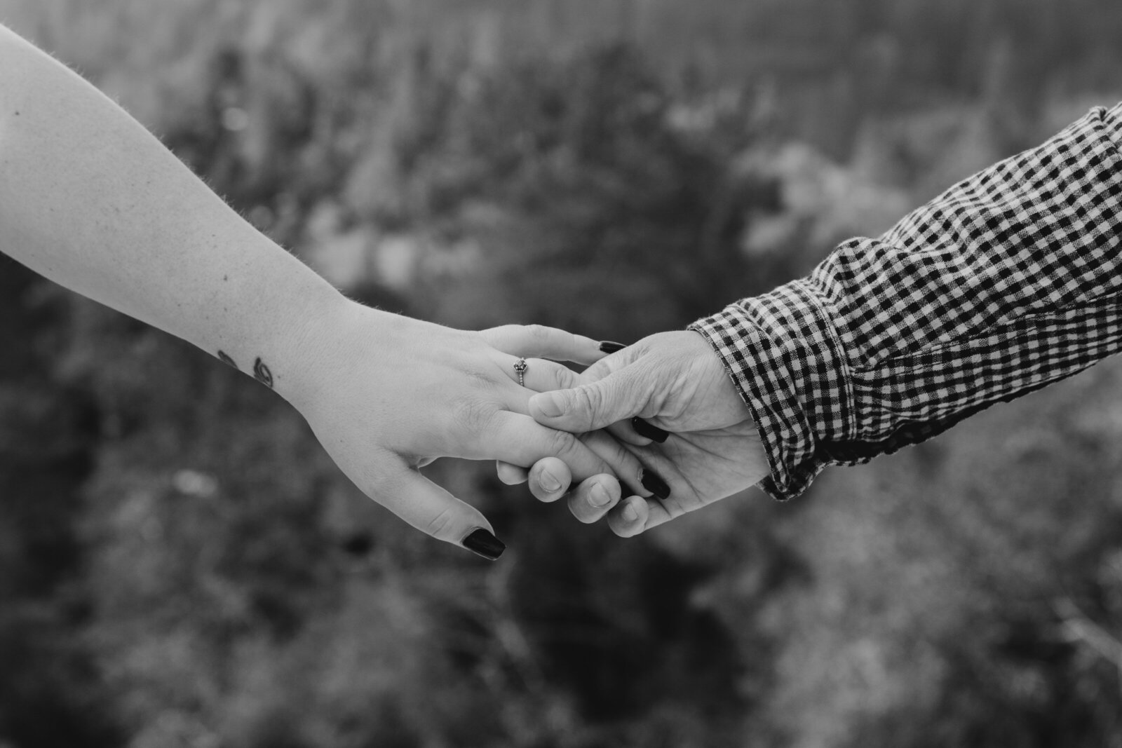 An tattooed engaged couple poses for photos in a redwood forest in Santa Cruz, Ca.
