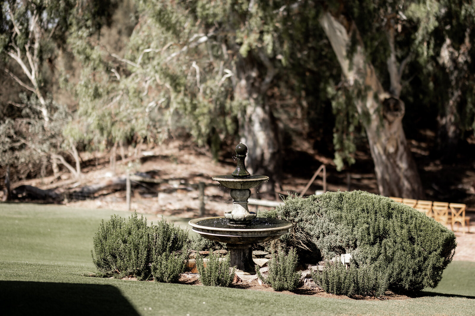 250226-Shelly-Tom-Rexvil-Photography-Adelaide-Wedding-Photographer-2