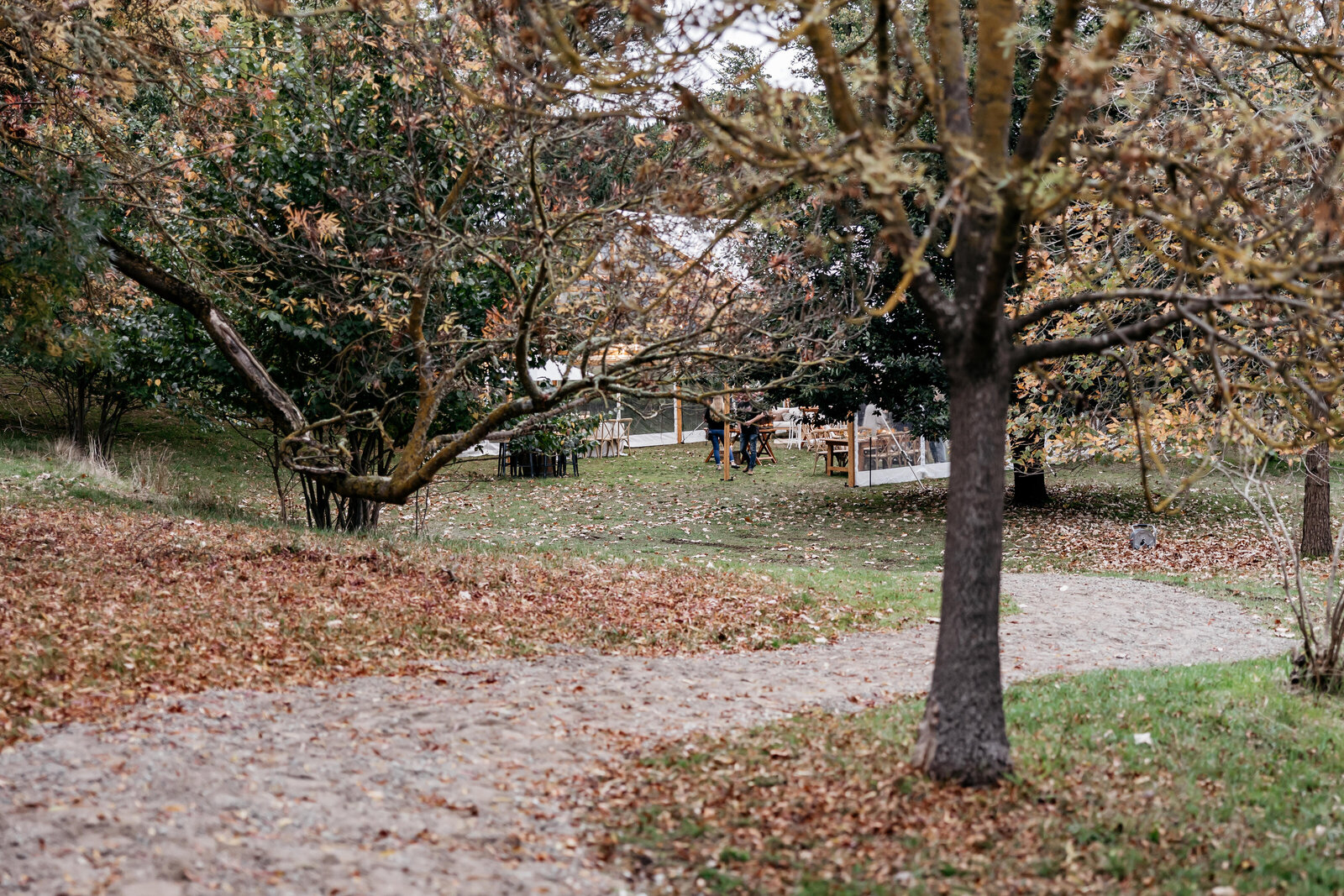 Woolbrook Homestead