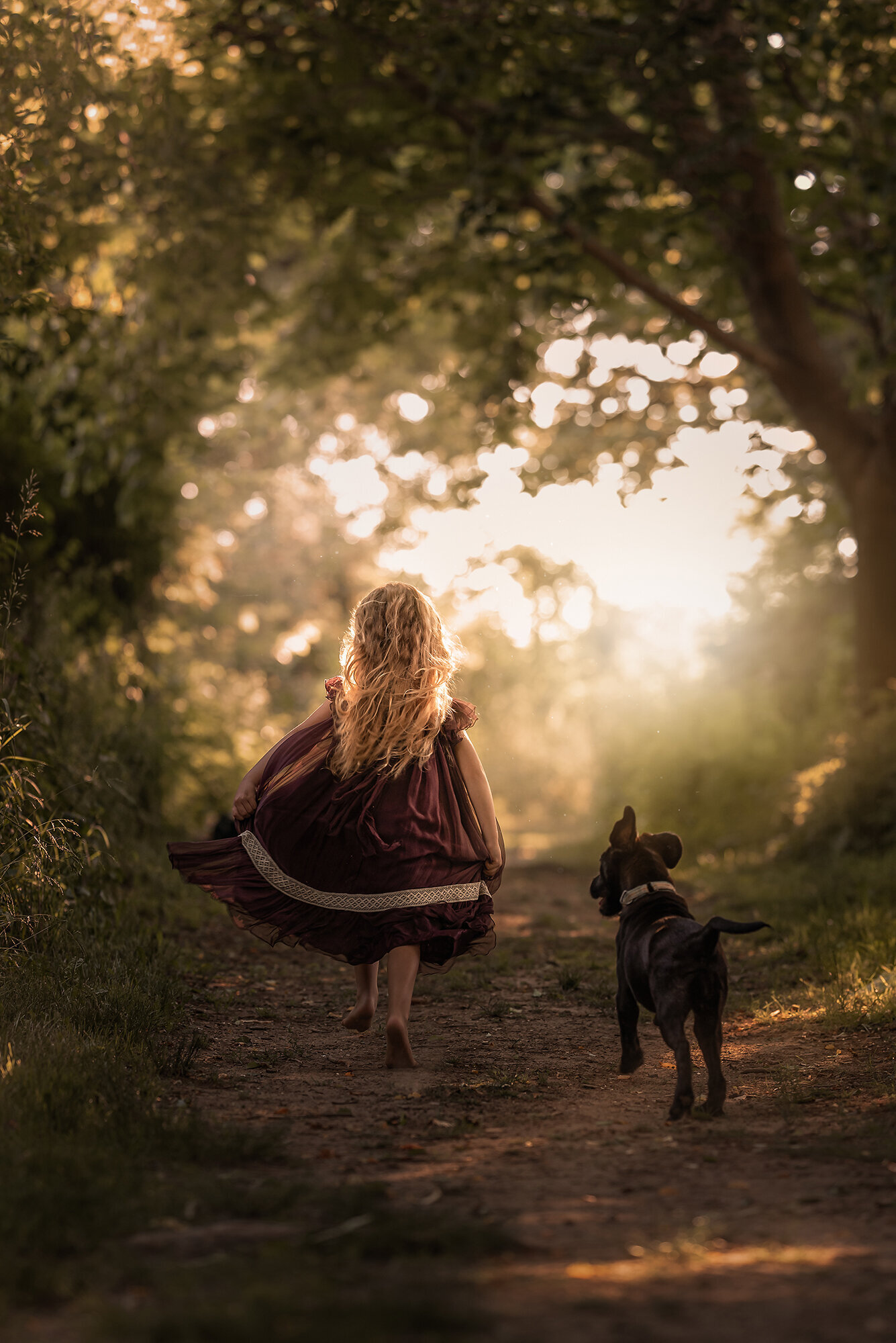 Photos of children and their dog playing outside at Norfolk during goldenhour