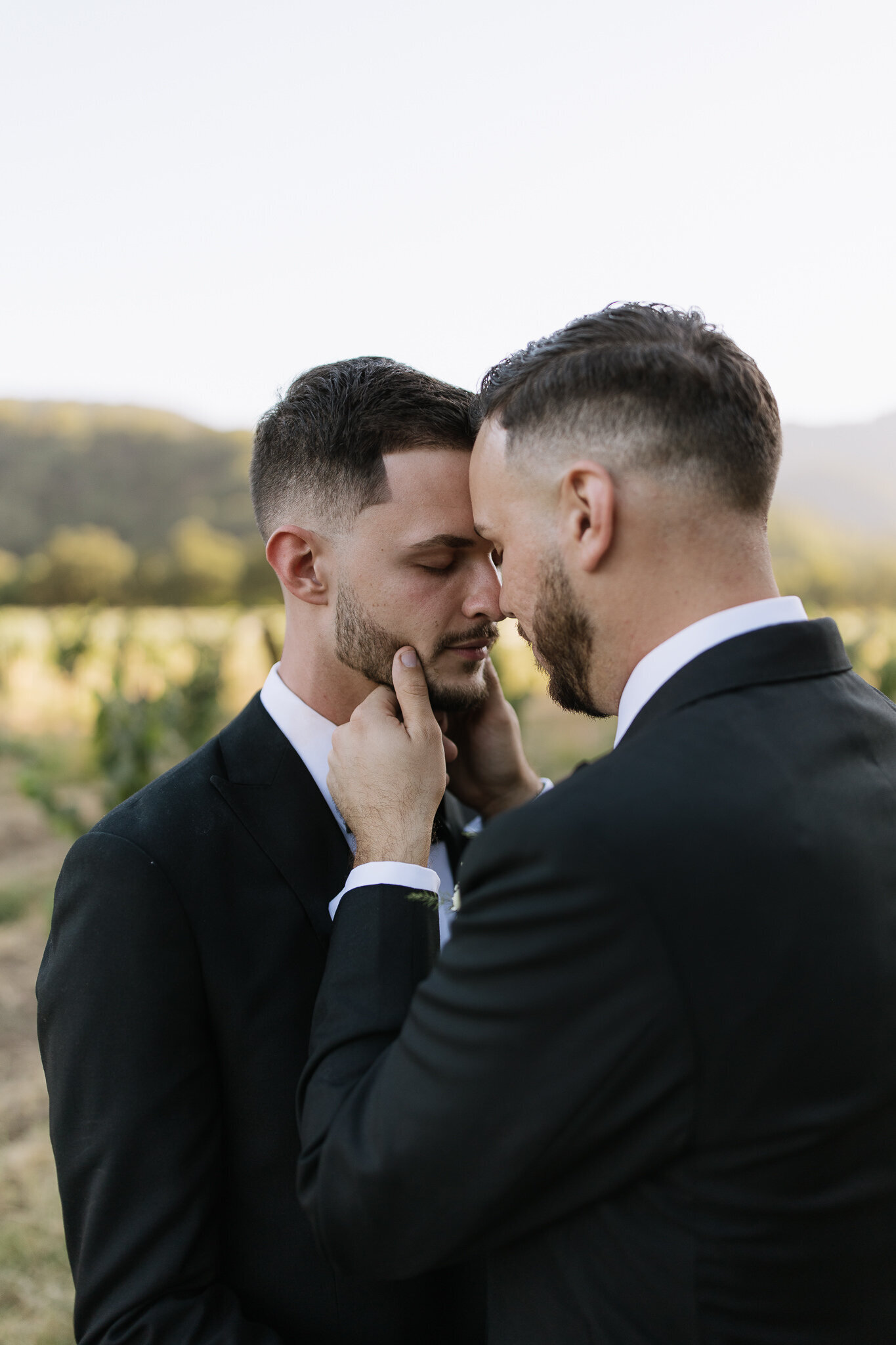 Groom portraits with vineyard backdrop at Nelson Family Vineyards in Ukiah, CA