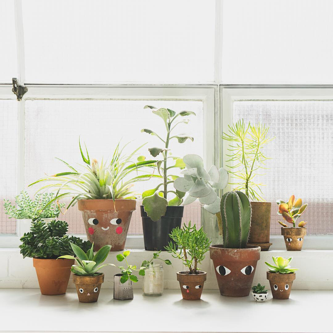 flowerpot_faces