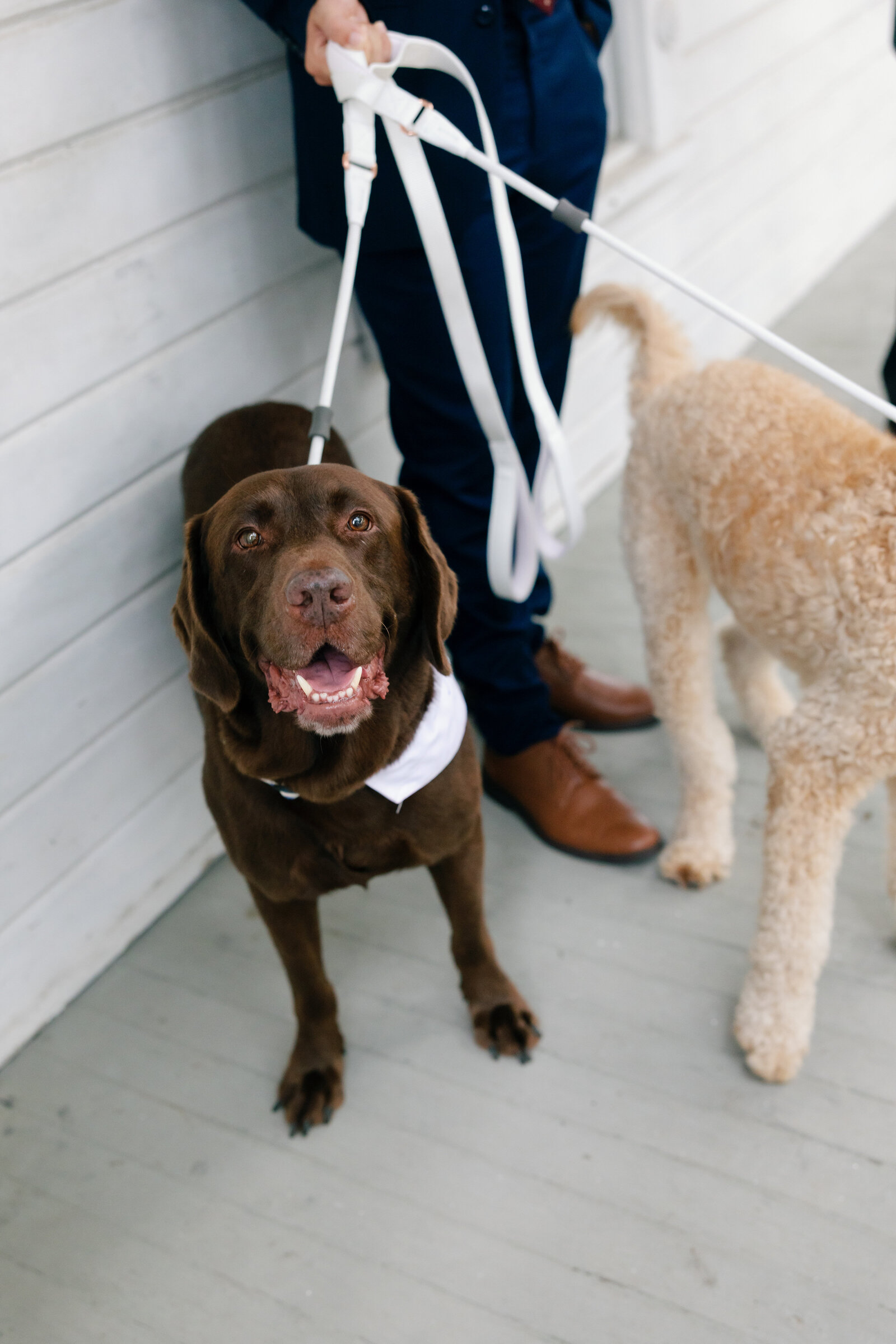 sujack_barrmansionwedding_stillsbytrinity-42