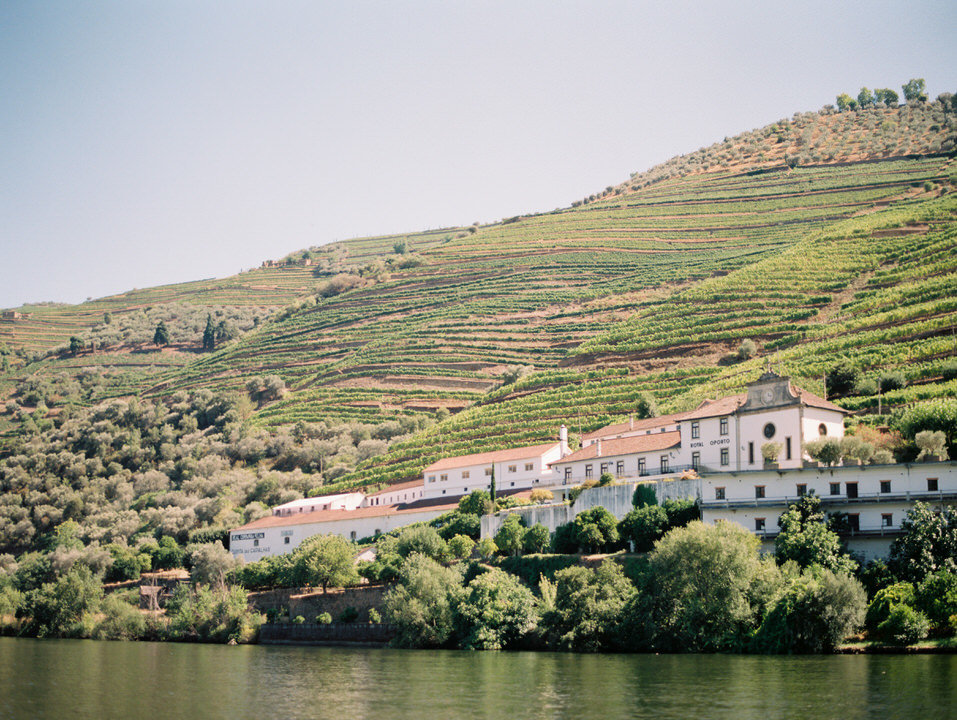 douro valley wine