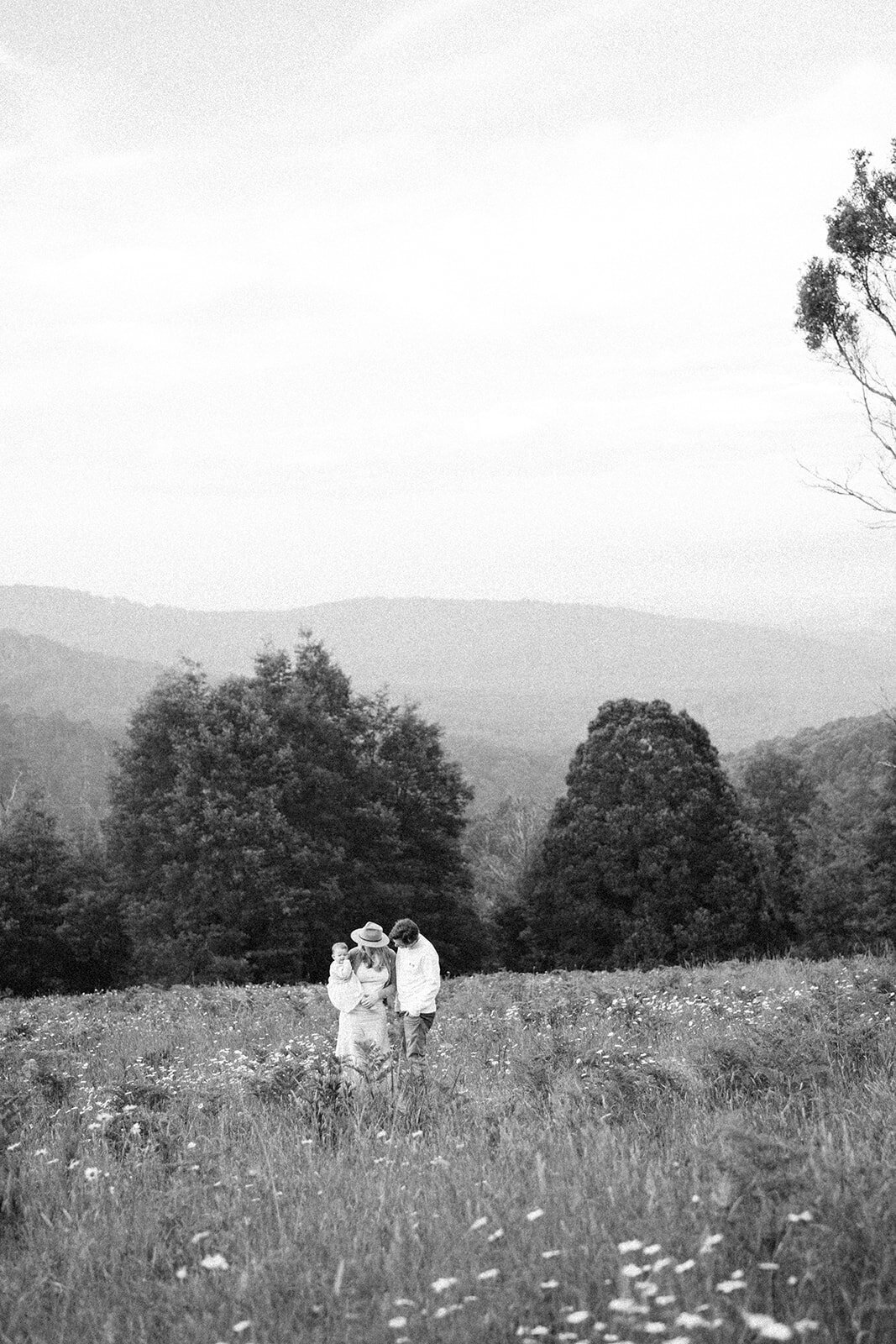 family photographer olinda melbourne