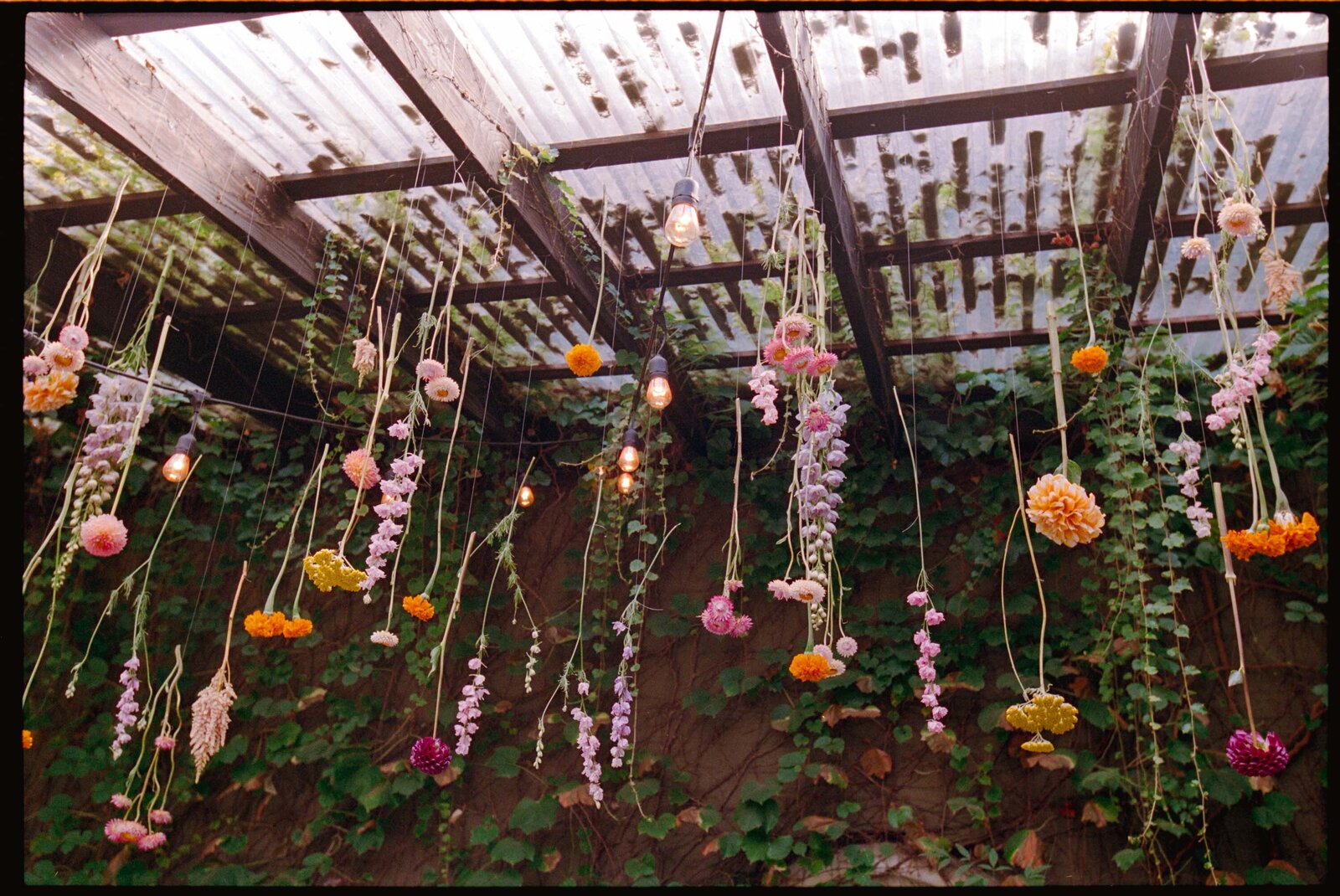 Seattle-Wedding-Jess-Buckley-Photo-Film-28