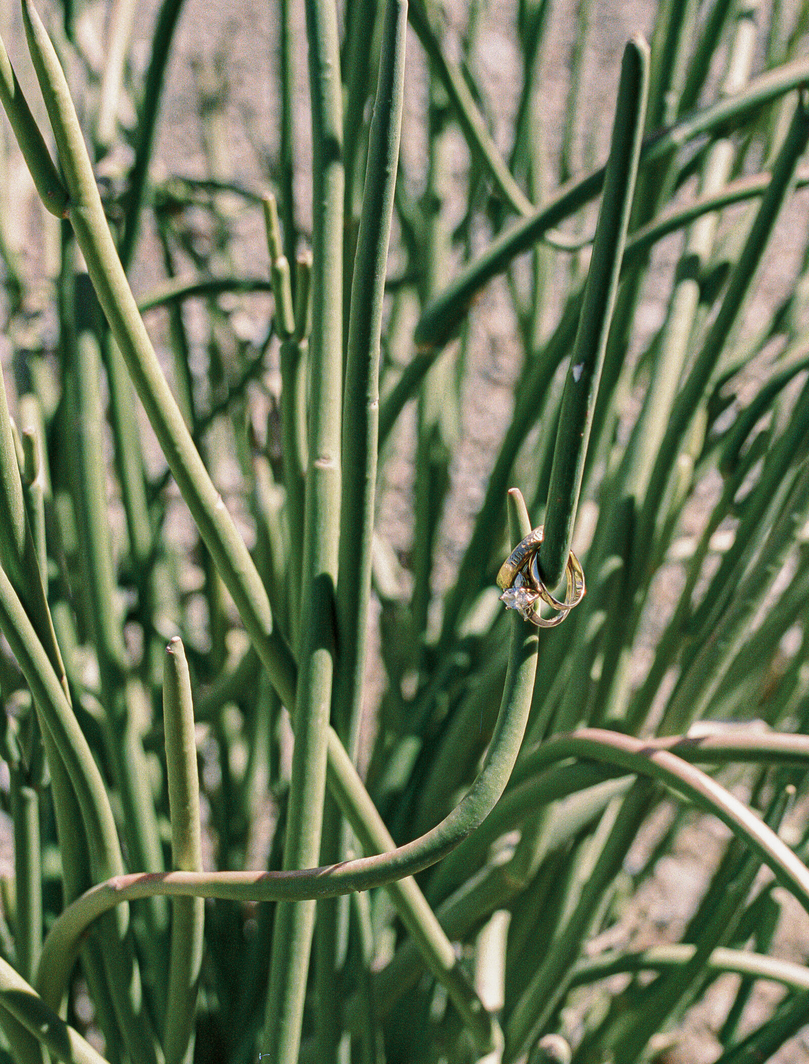 000PHX001516-R1-009-3