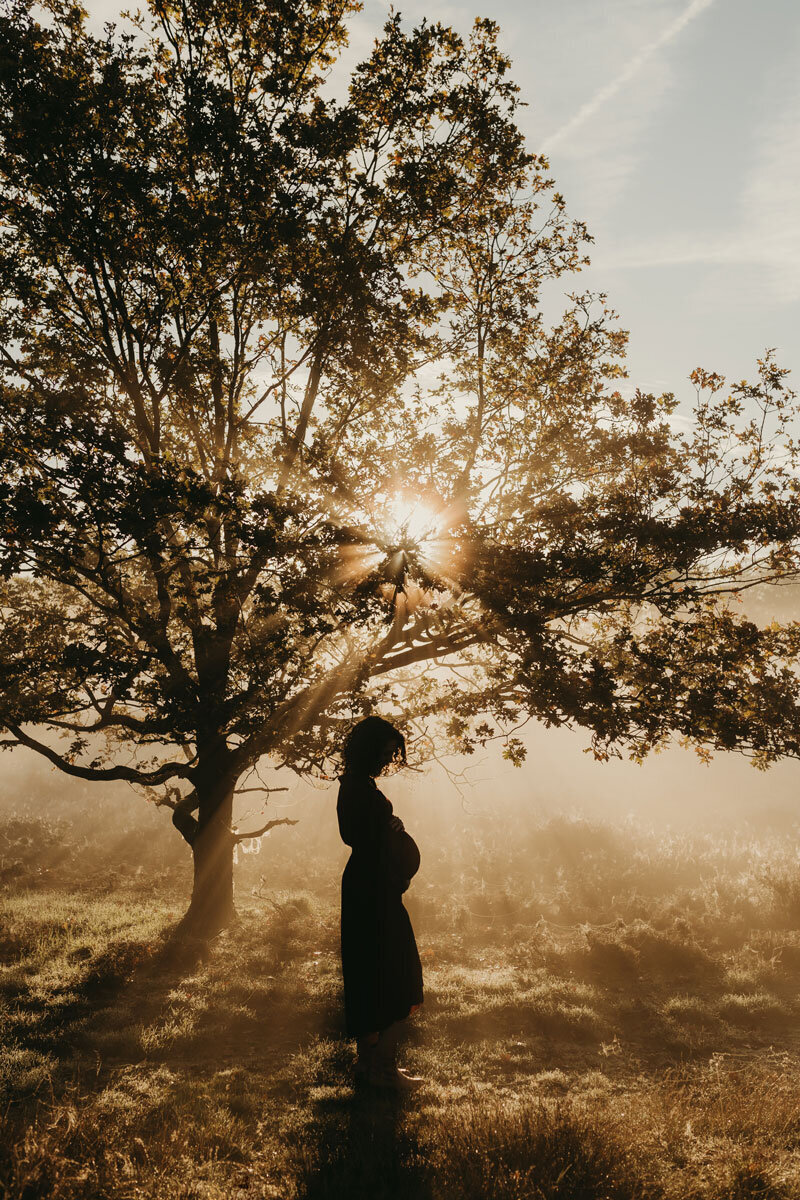 BlinkendBeeld+zwangerschapsshoot+zwangerschapsfotograaf+fotograafgelderland+fotograafbrabant+fotograafnijmegen-11