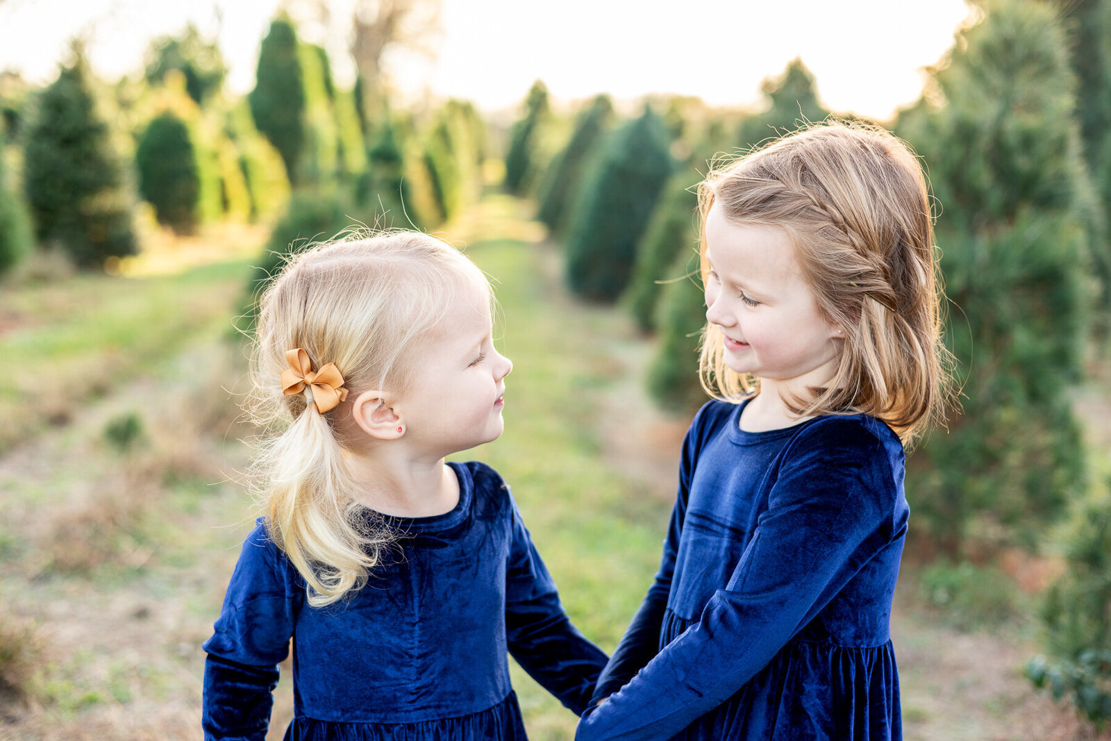 Family-outdoor-golden-hour-photography-session-tree-farm-Lexington-KY-photographer-4