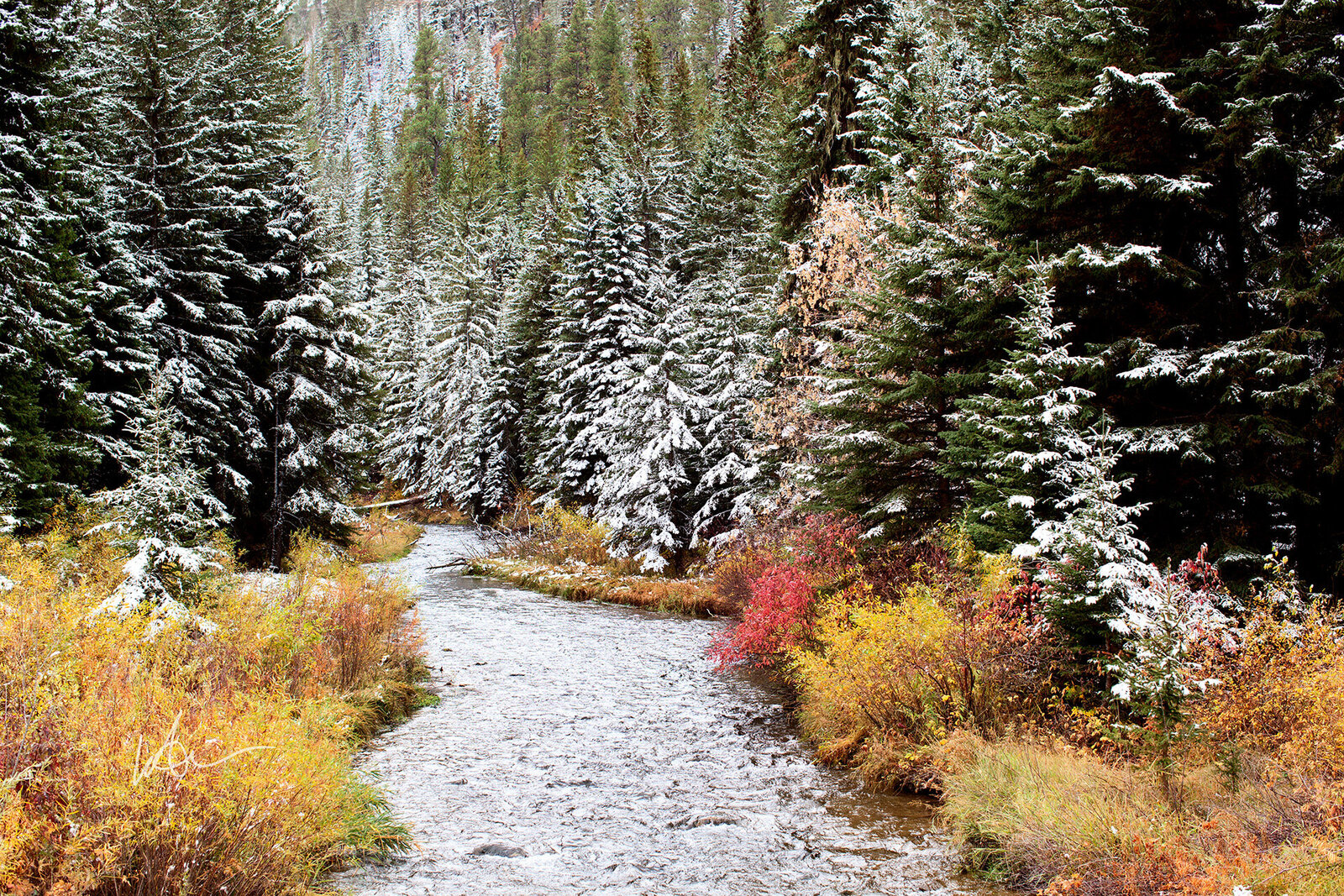 Fall in Spearfish Canyon