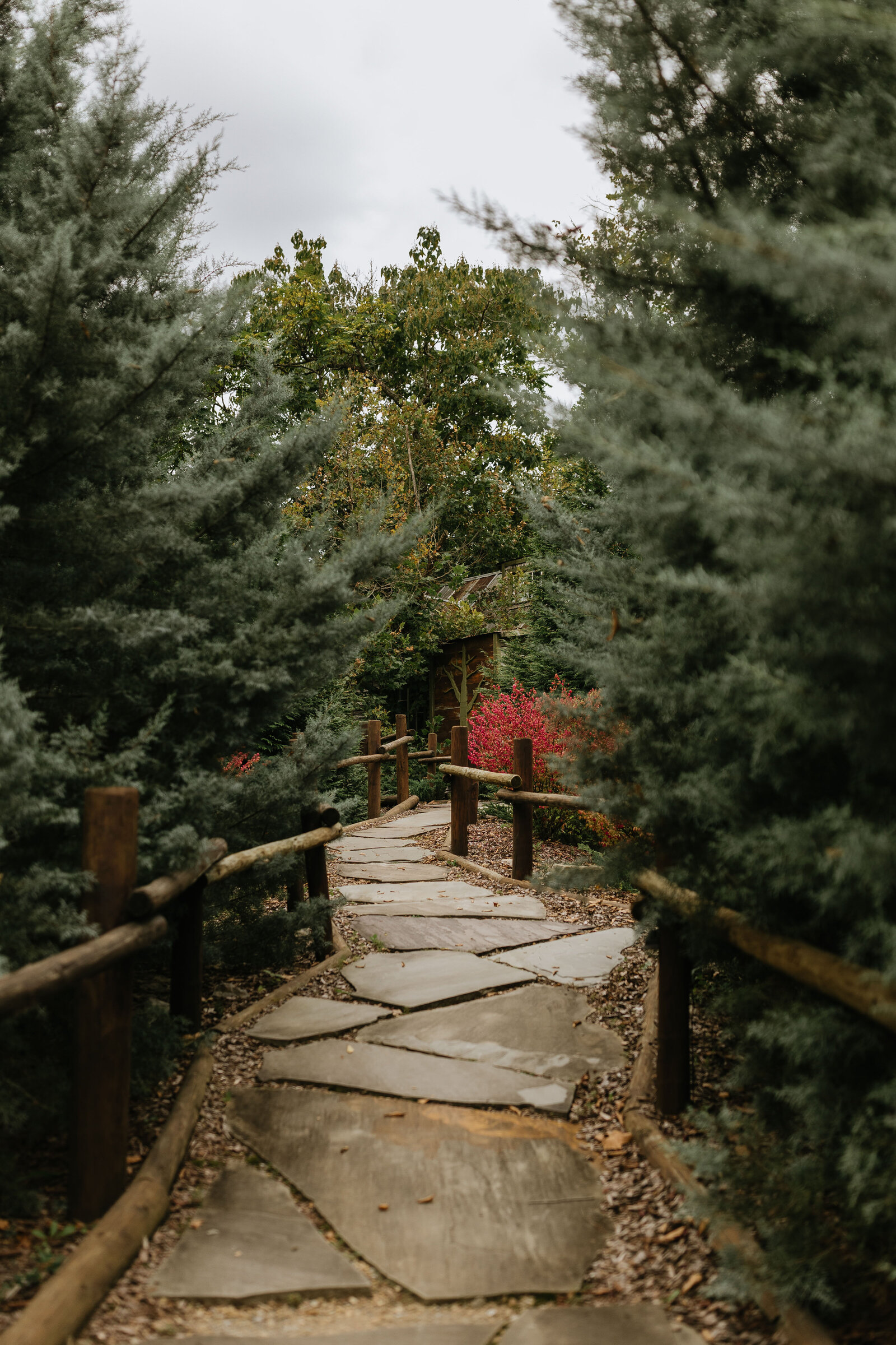 East-Tennessee-Wedding-Photographer-Videographer-Radiant-Mountain-Media-42