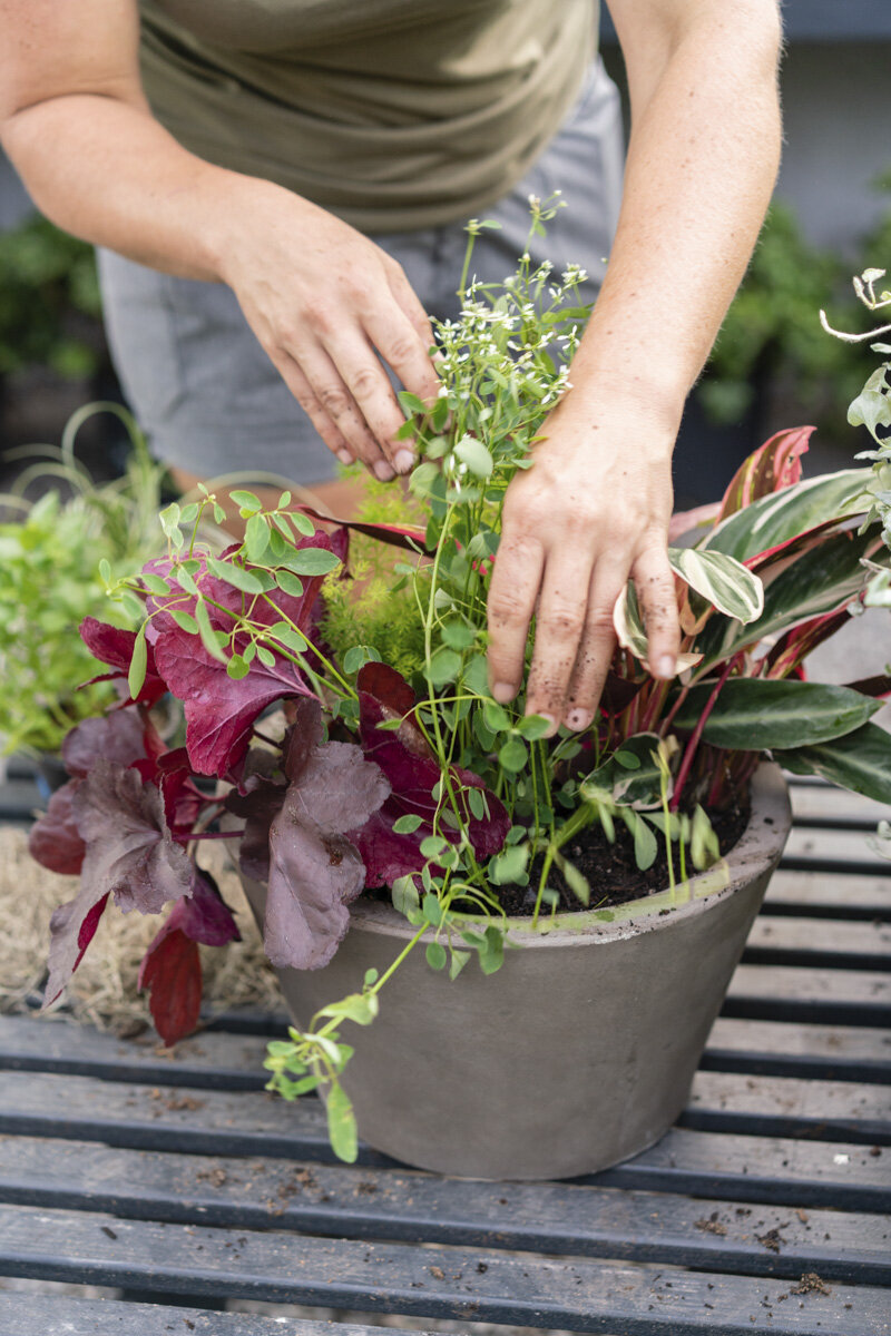 Abby Murphy Stewart Charleston South Carolina Brand Product Photographer-152