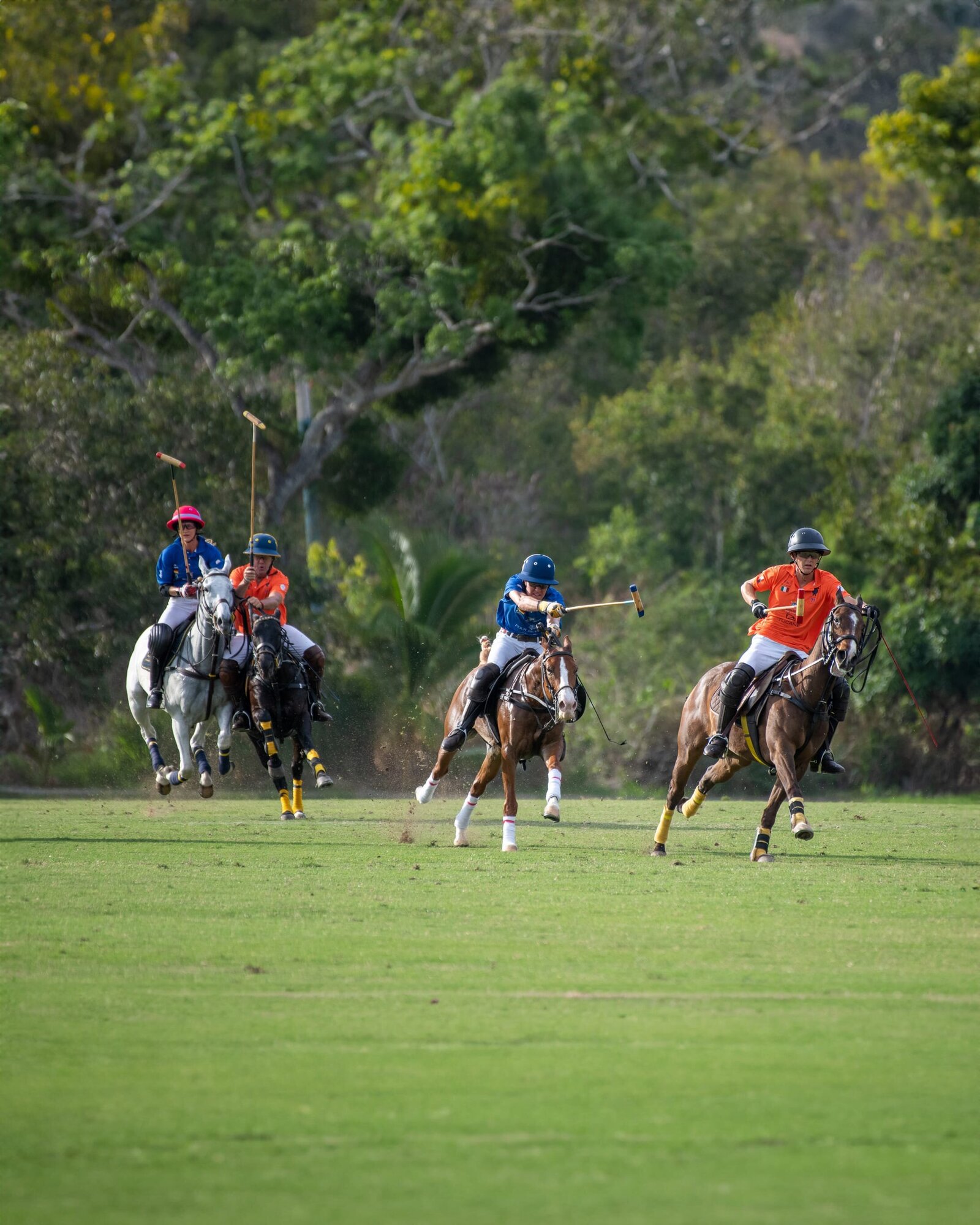 Polo-Club-Careyes-18-27-41-mobile