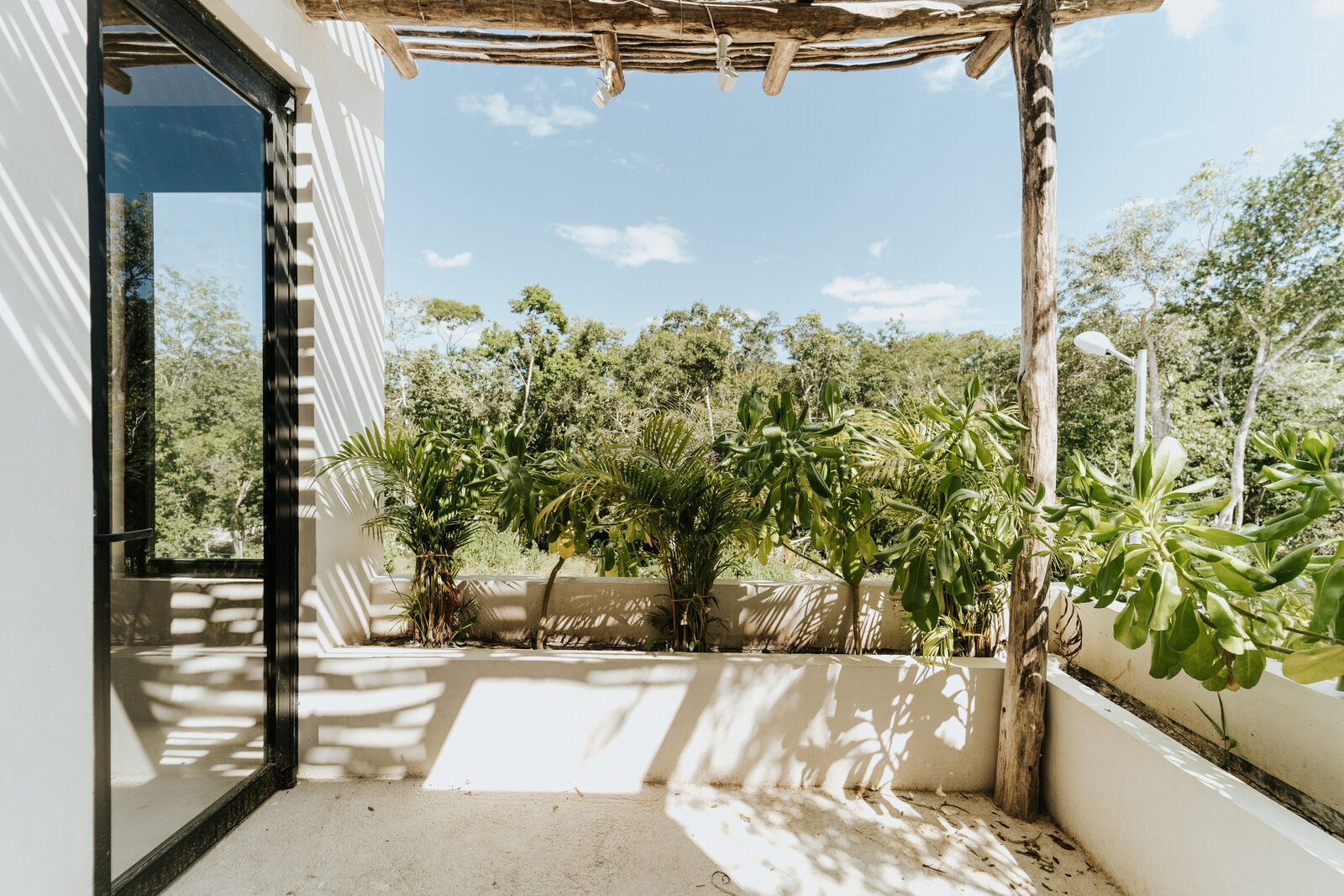 outside-patio-sky-jungle