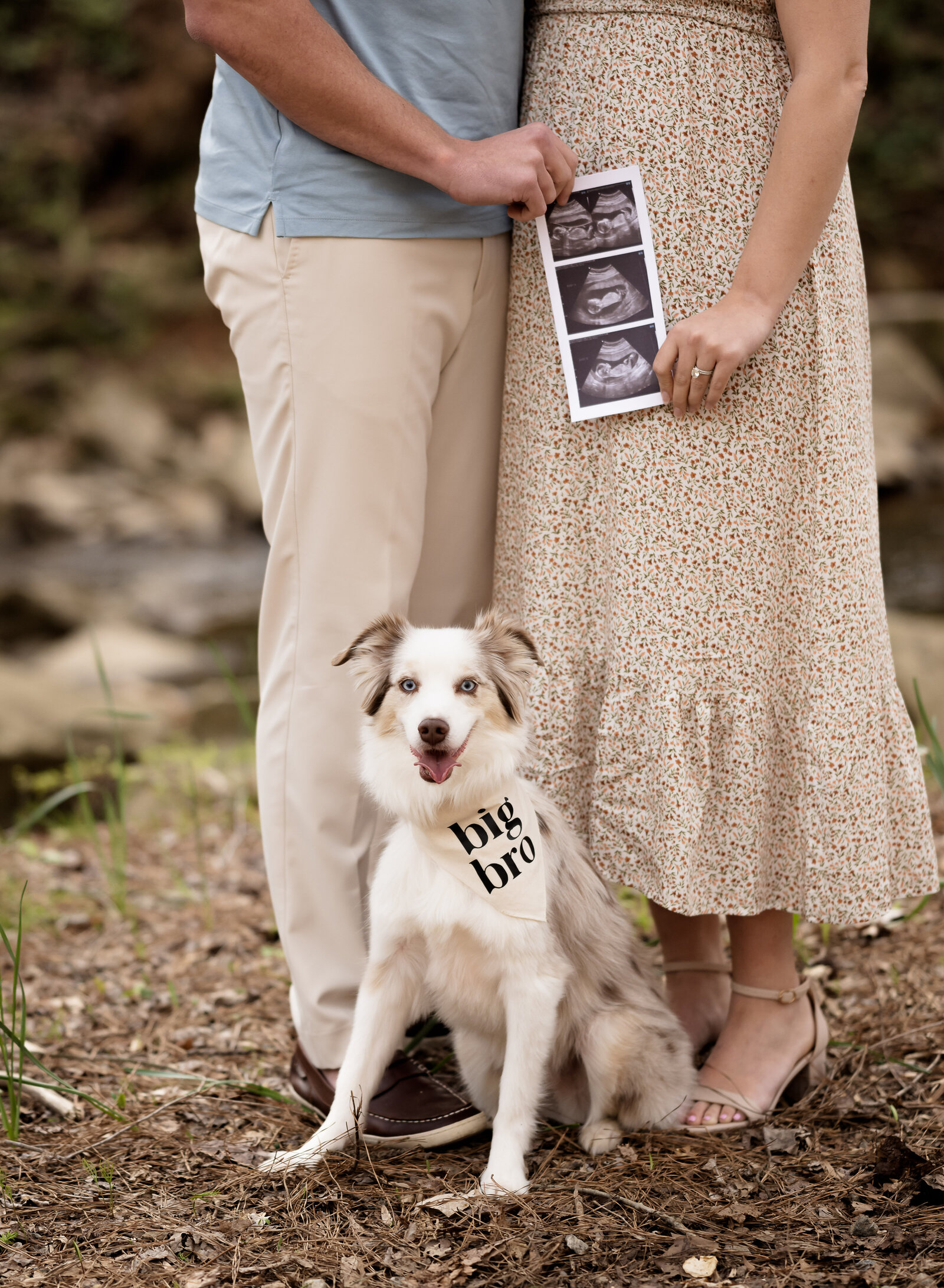 pregnancy announcement ideas