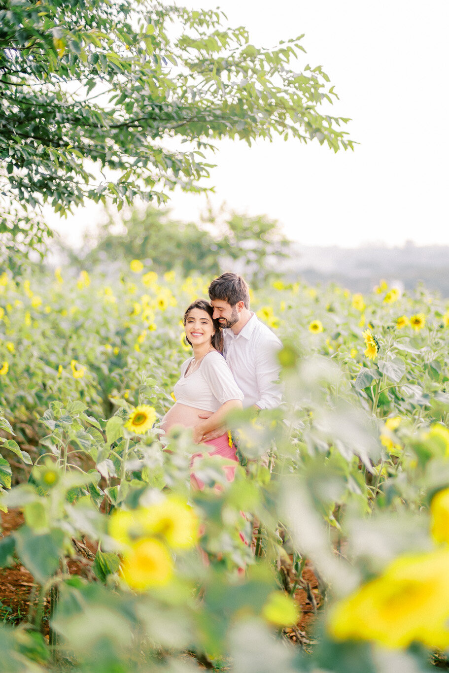 0463_carolina_pedrosa_fotografia_em_holambra