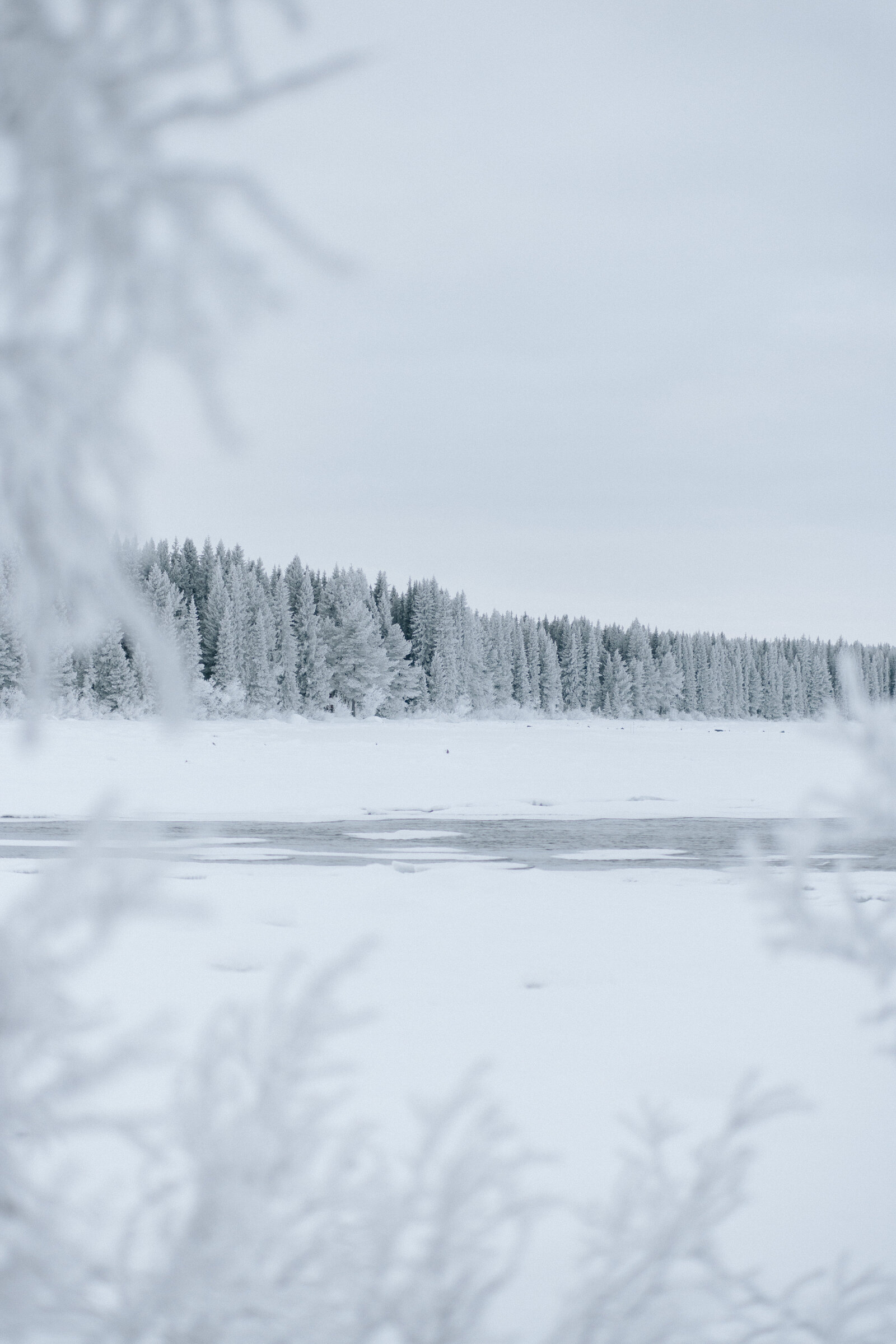 fotograf-i-kiruna-porträttfotograf-familjefotograf-gravidfotograf023
