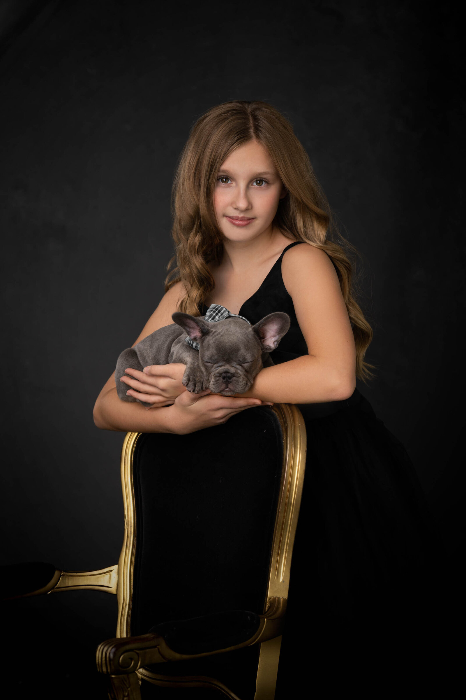 sarasota-dog-portrait-photographer-portrait-boutique-37