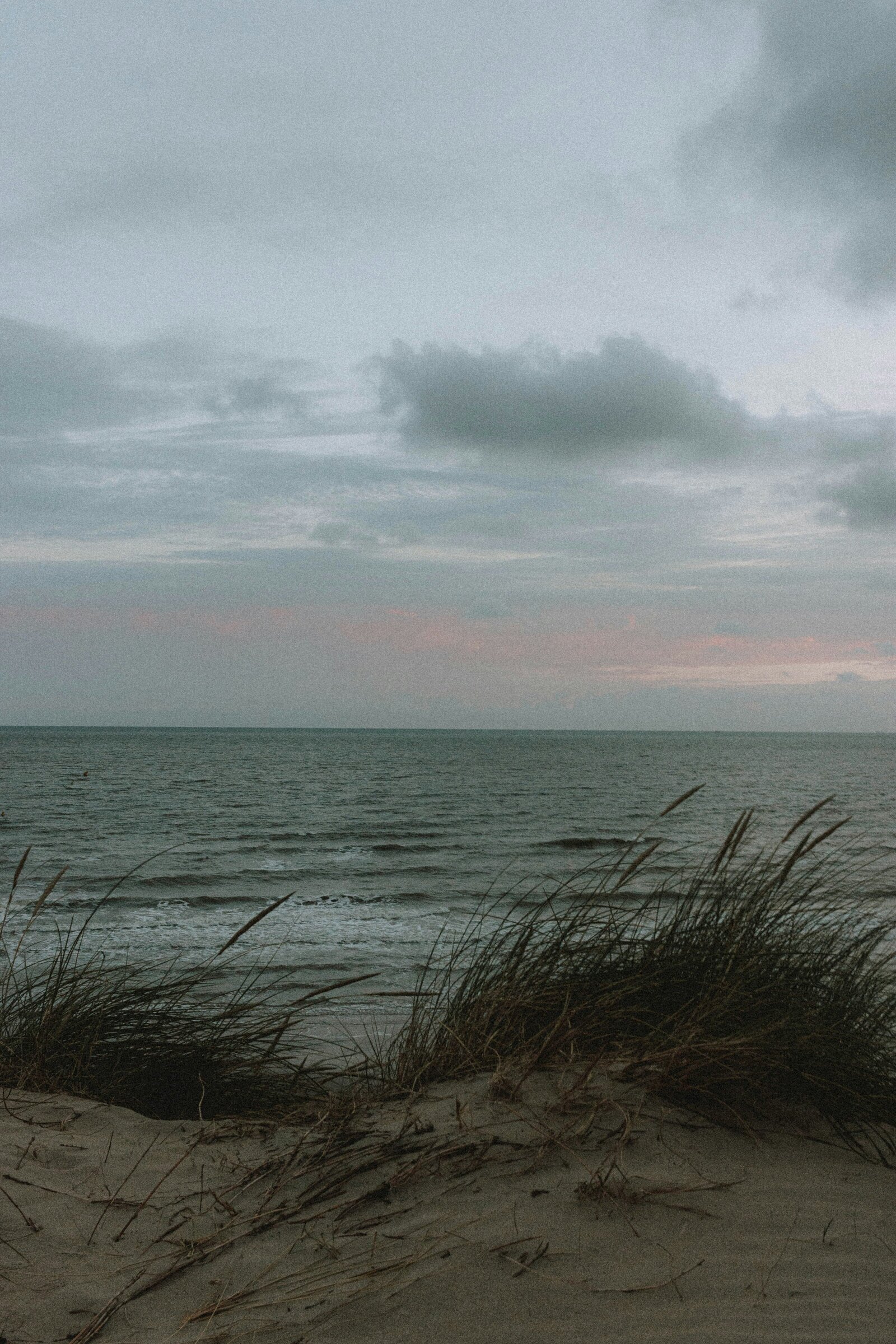 mathias-reding-WF3-NKP-Y8w-unsplash