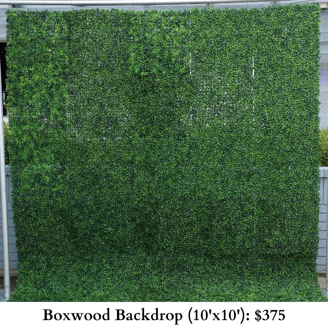 Boxwood Backdrop-699